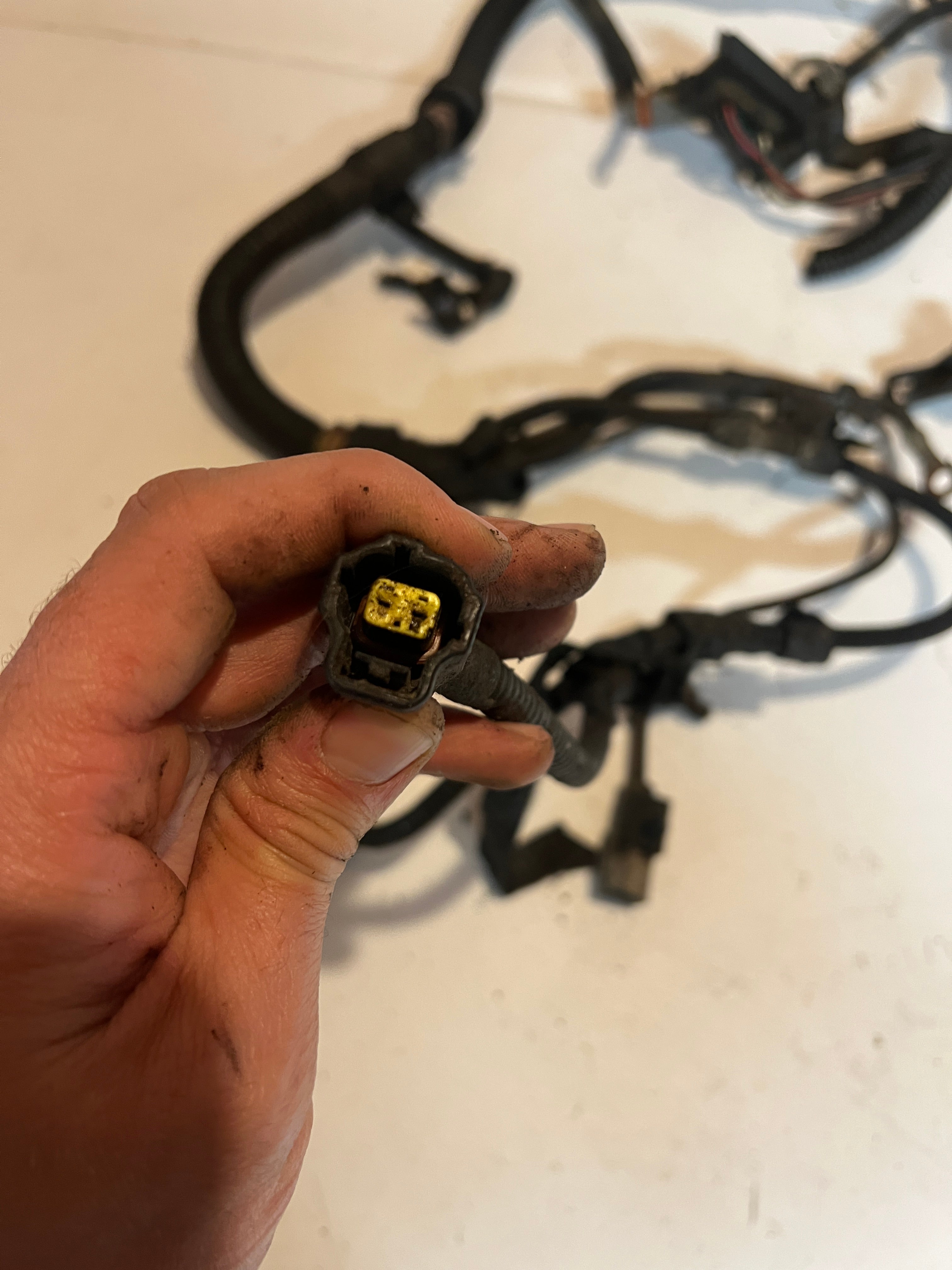 2001-2001 Dodge Ram 24 Valve 5.9L Cummins ECM Engine Wiring Harness