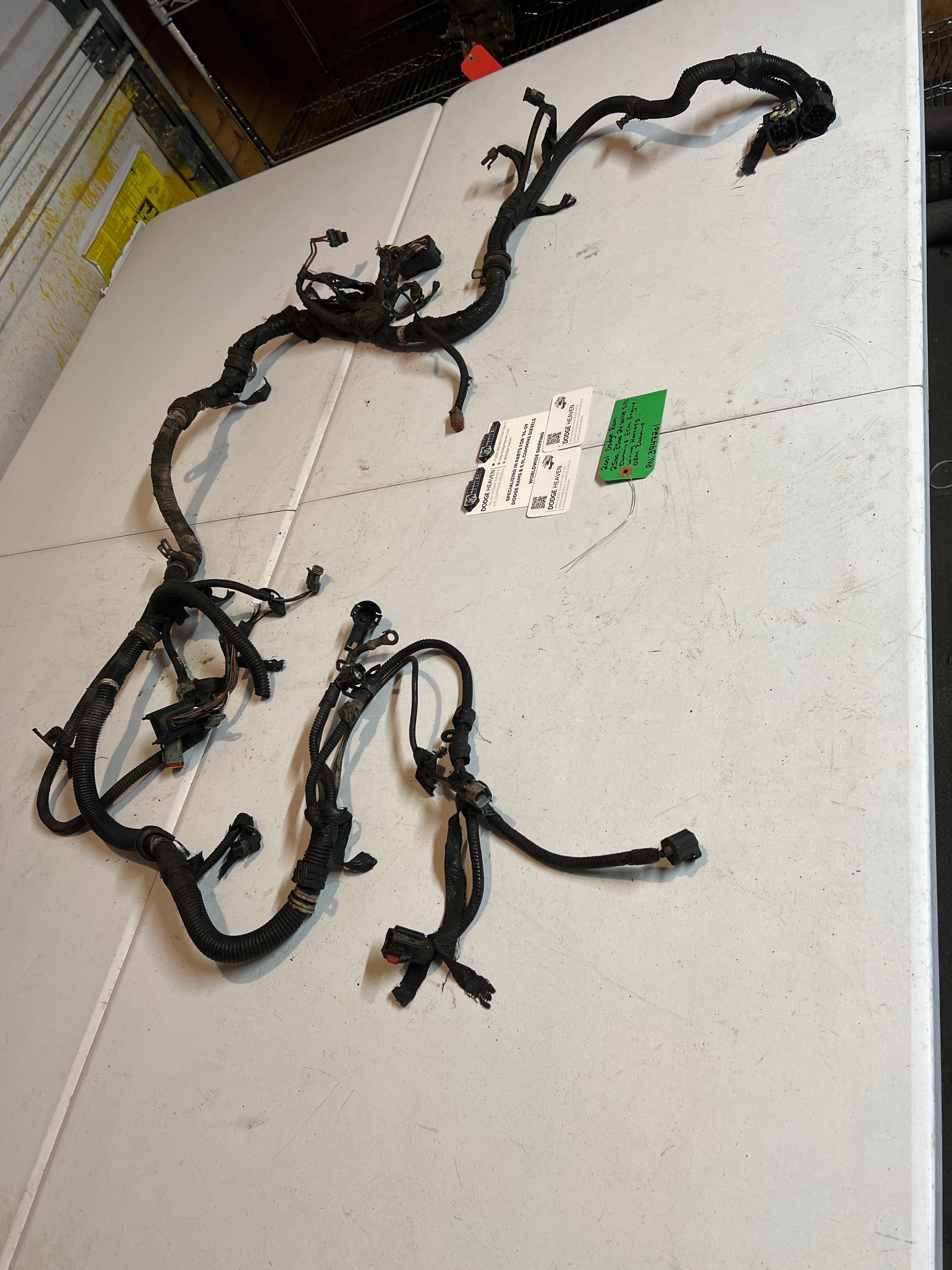 2001-2001 Dodge Ram 24 Valve 5.9L Cummins ECM Engine Wiring Harness