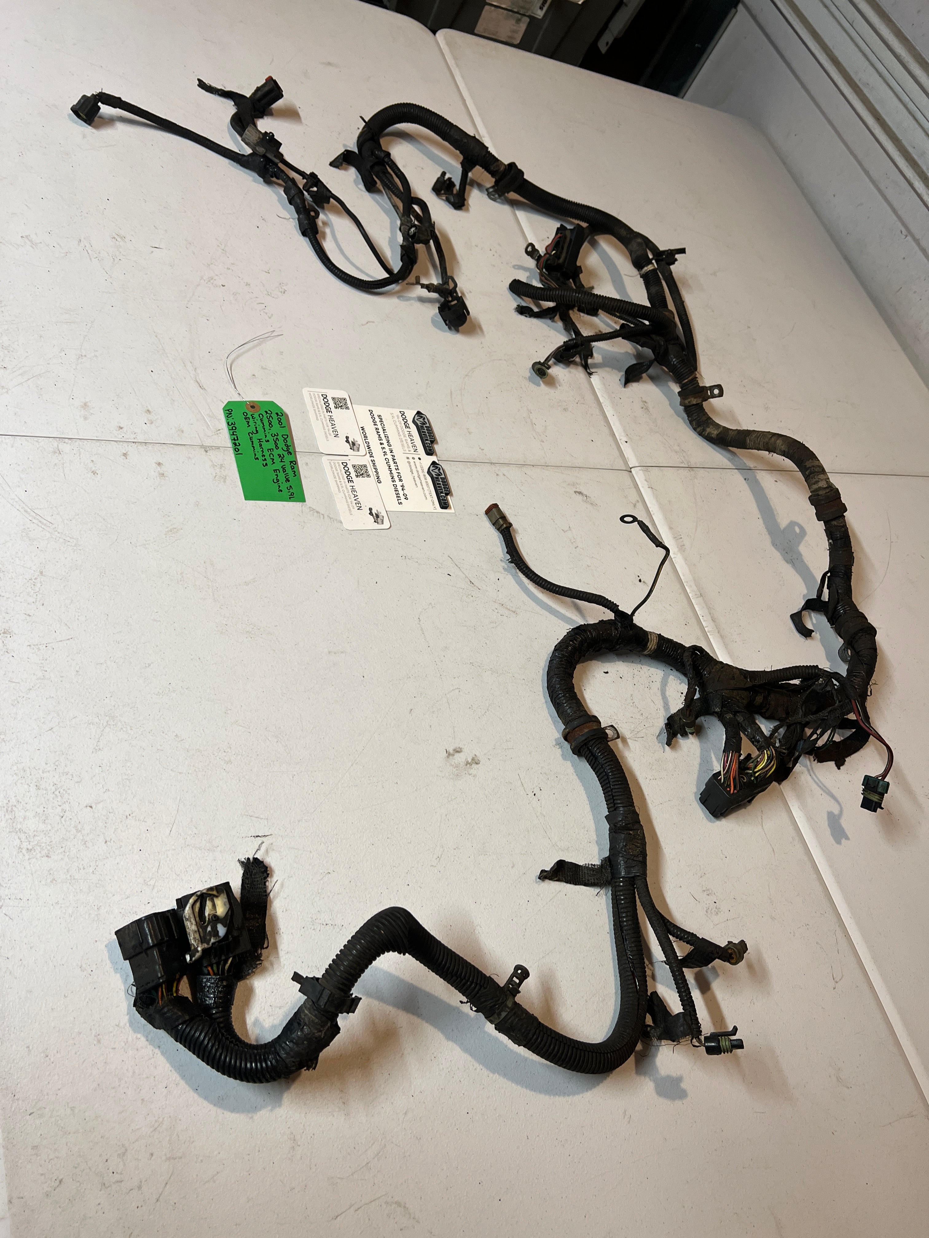 2001-2001 Dodge Ram 24 Valve 5.9L Cummins ECM Engine Wiring Harness