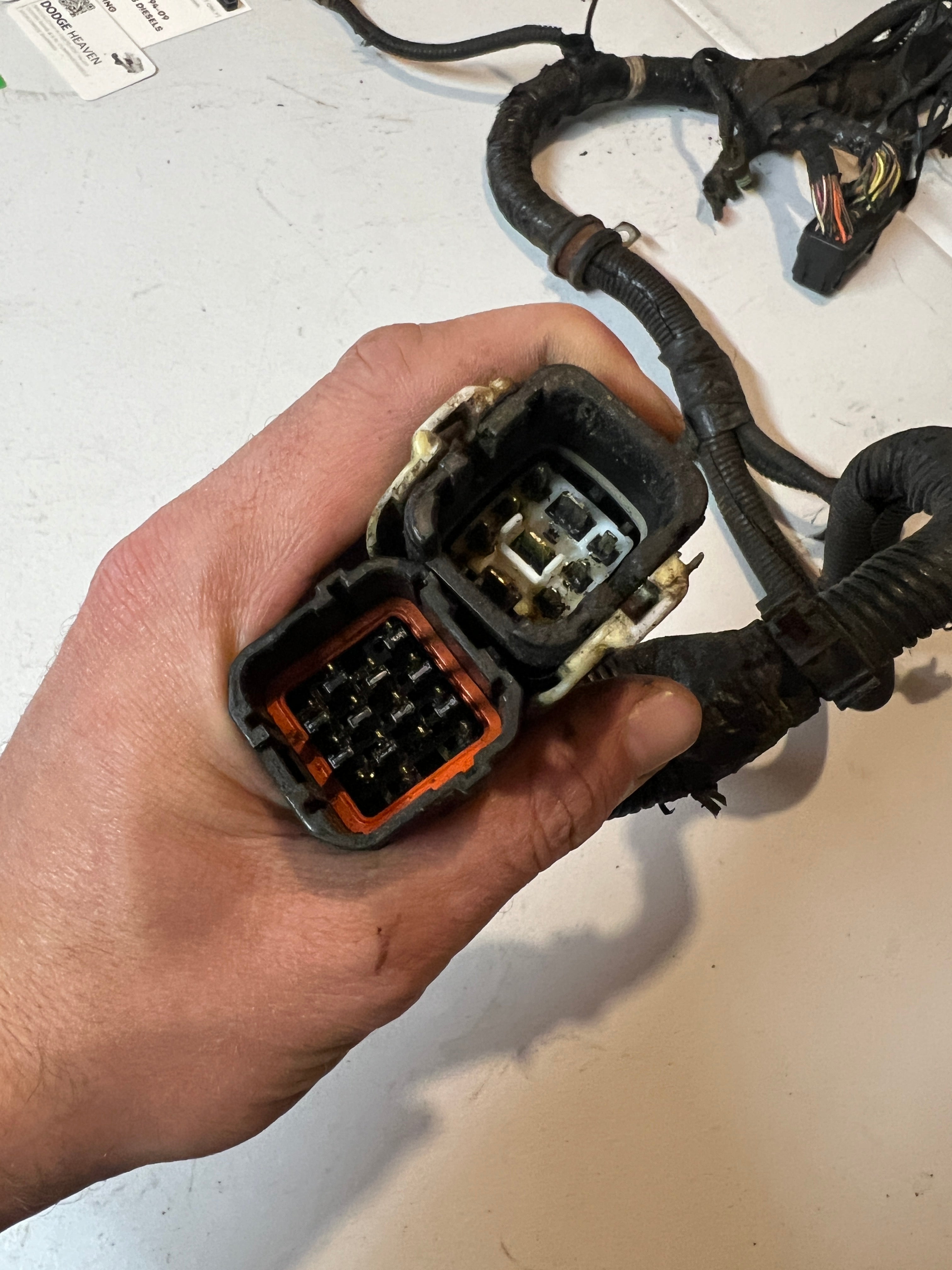 2001-2001 Dodge Ram 24 Valve 5.9L Cummins ECM Engine Wiring Harness