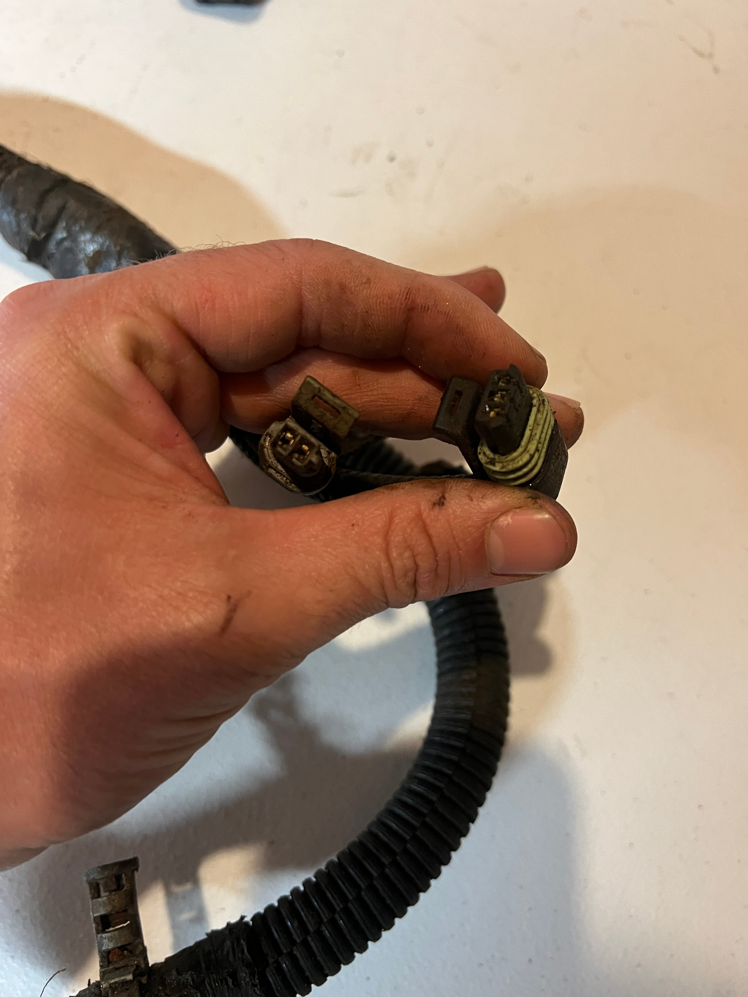 2001-2001 Dodge Ram 24 Valve 5.9L Cummins ECM Engine Wiring Harness