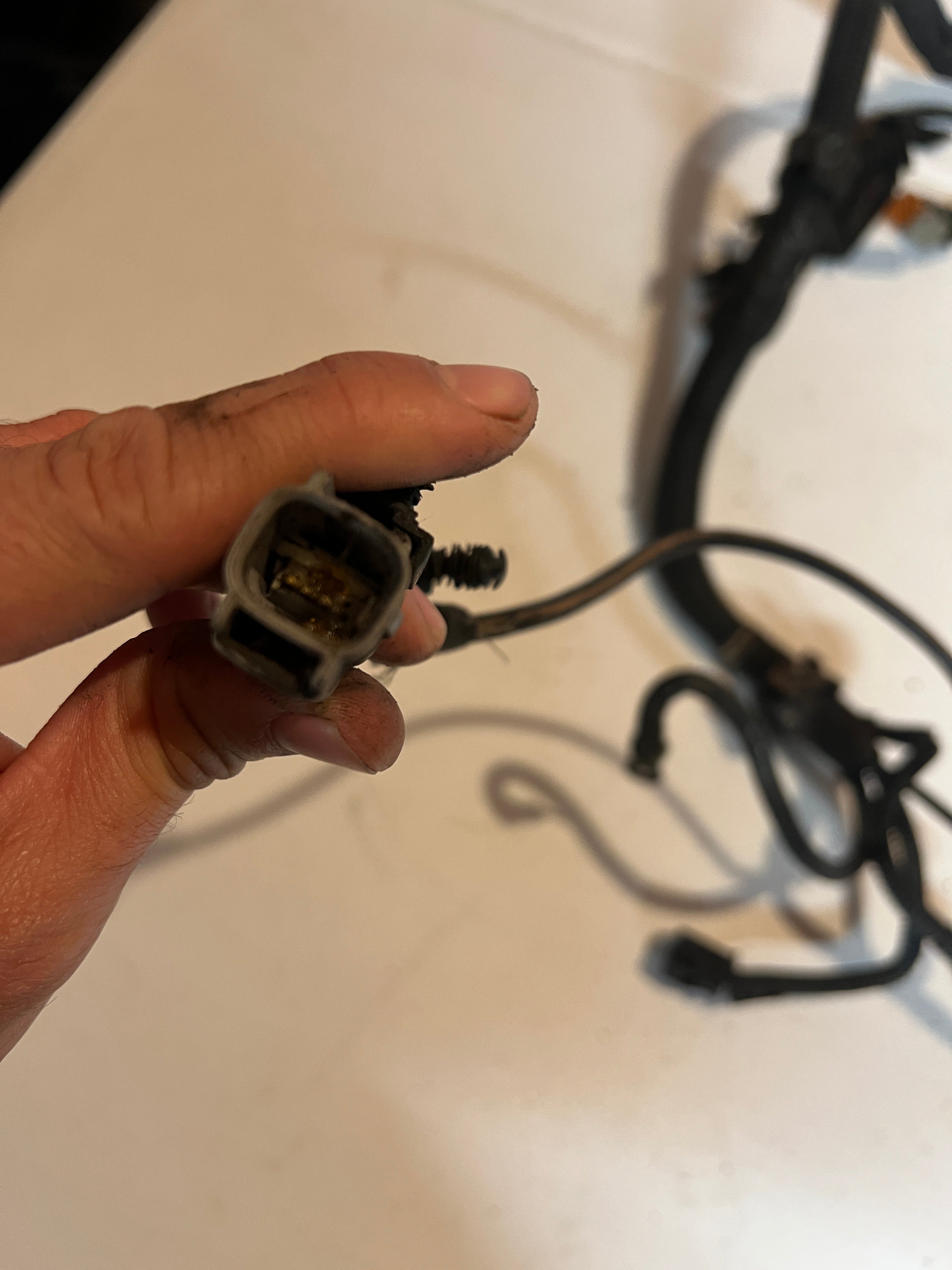 2000-2000 Dodge Ram 24 Valve 5.9L Cummins ECM Engine Wiring Harness