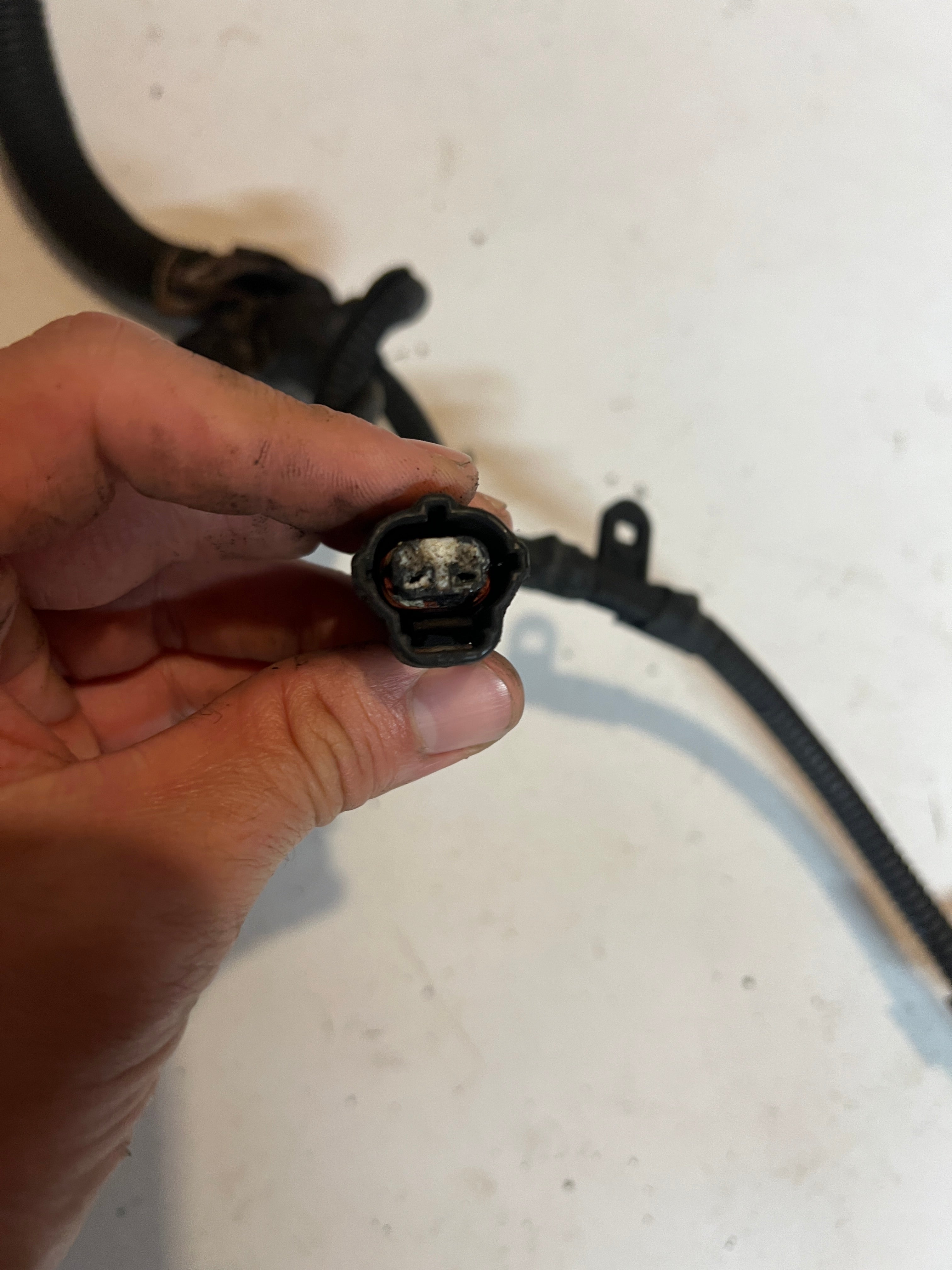 2000-2000 Dodge Ram 24 Valve 5.9L Cummins ECM Engine Wiring Harness