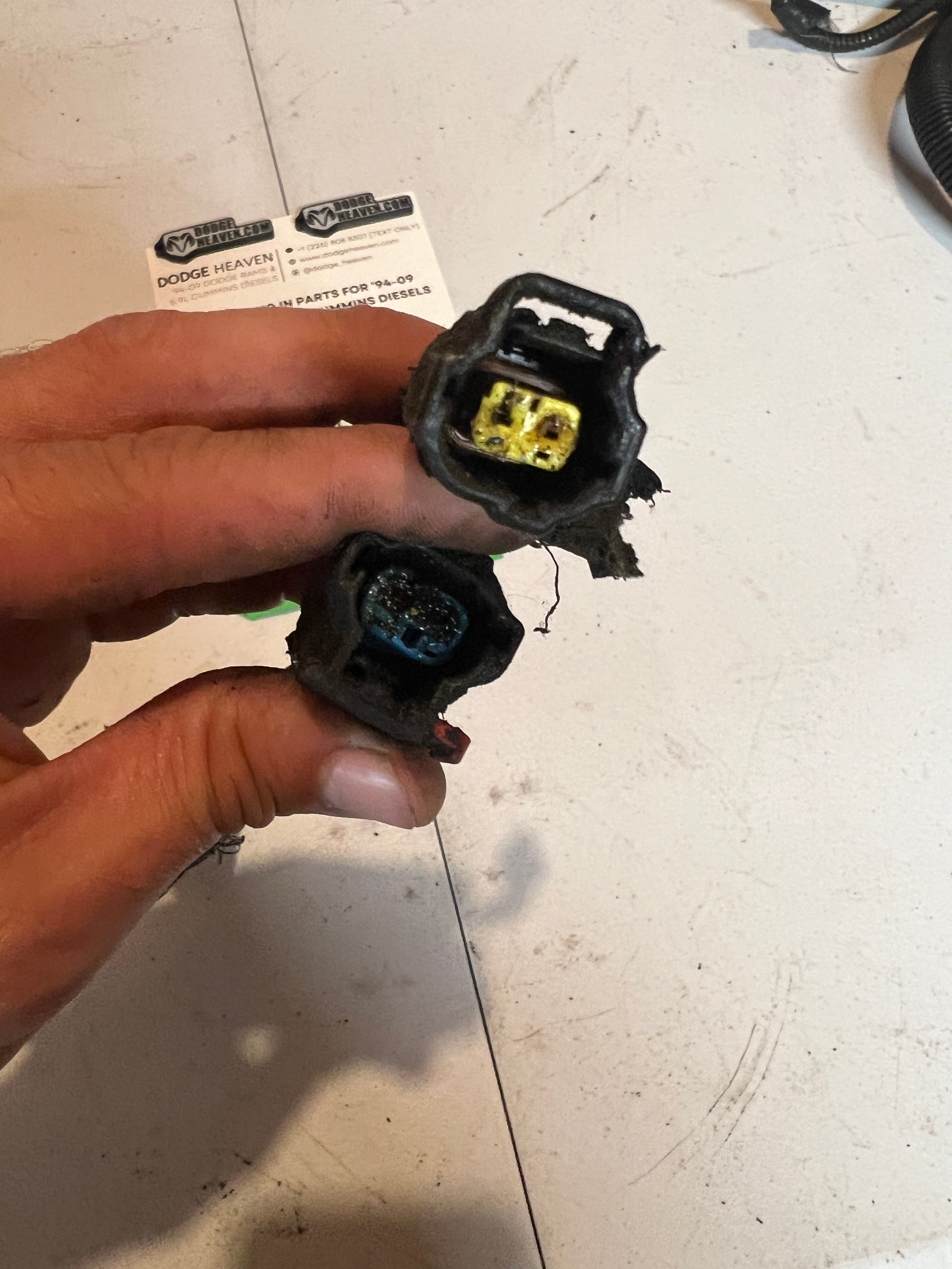 2000-2000 Dodge Ram 24 Valve 5.9L Cummins ECM Engine Wiring Harness