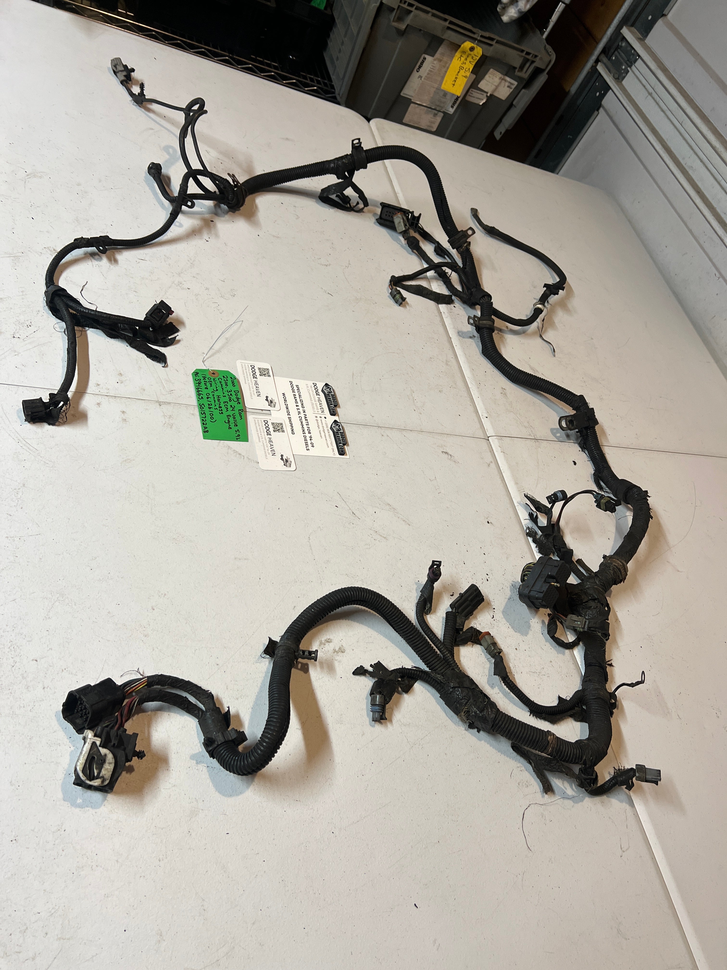 2000-2000 Dodge Ram 24 Valve 5.9L Cummins ECM Engine Wiring Harness