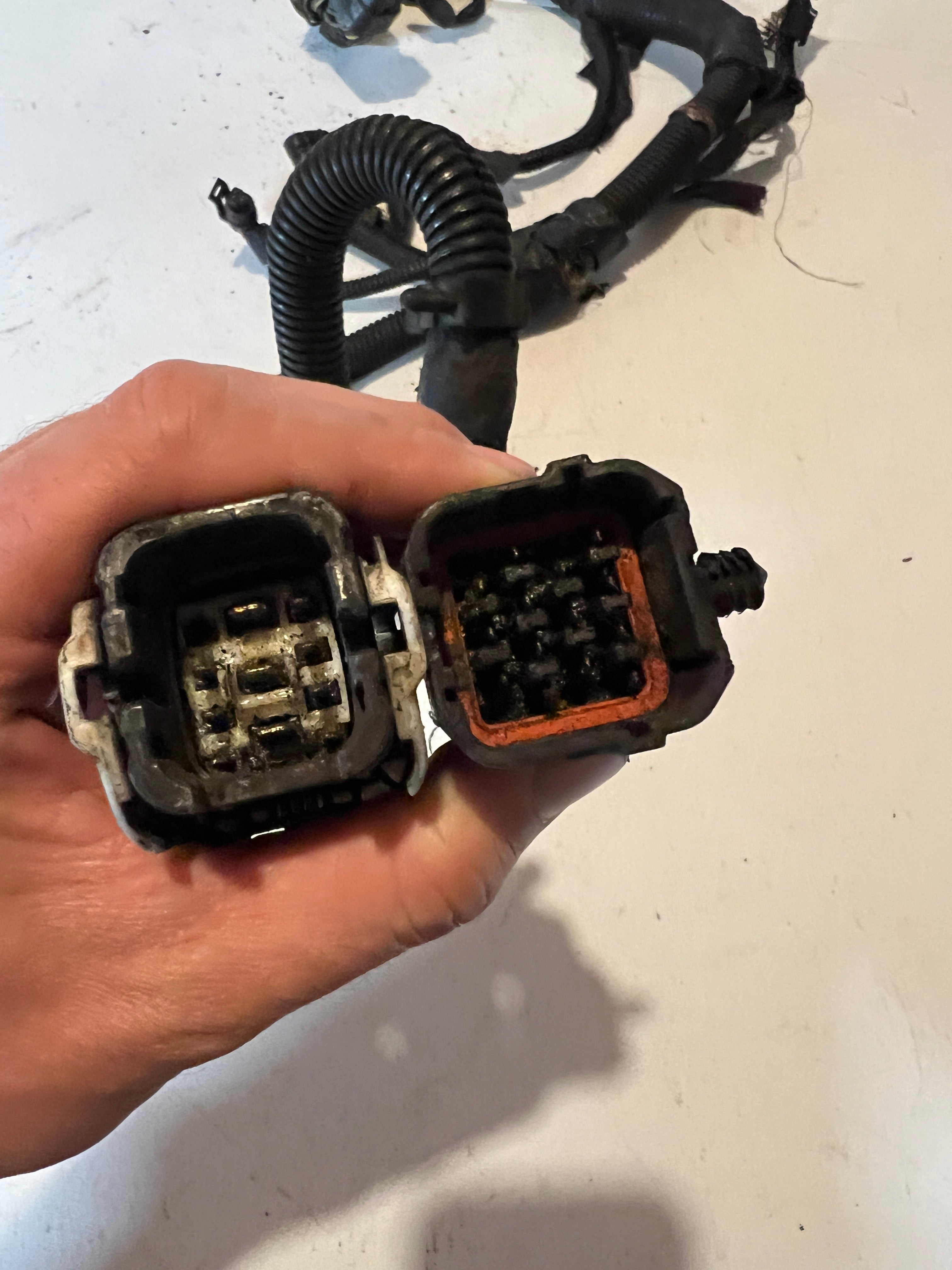 2000-2000 Dodge Ram 24 Valve 5.9L Cummins ECM Engine Wiring Harness