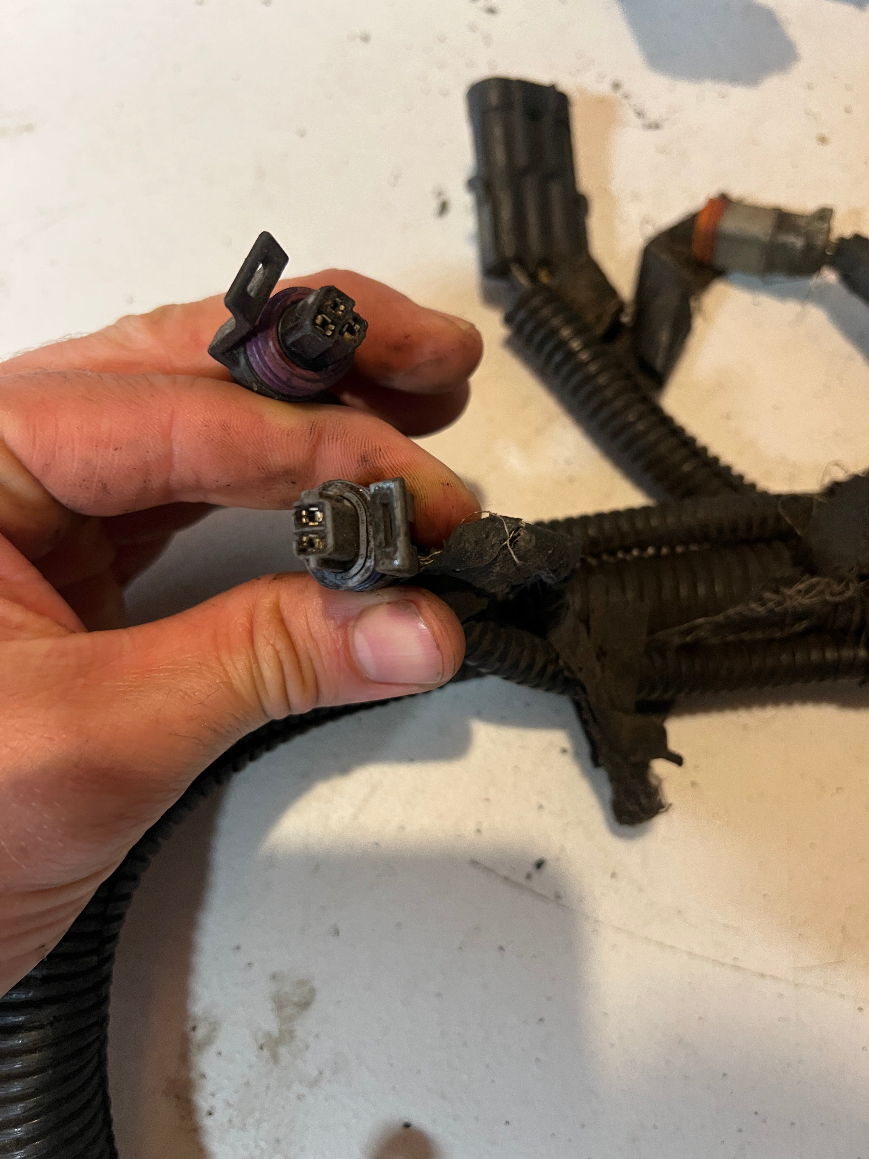 2000-2000 Dodge Ram 24 Valve 5.9L Cummins ECM Engine Wiring Harness