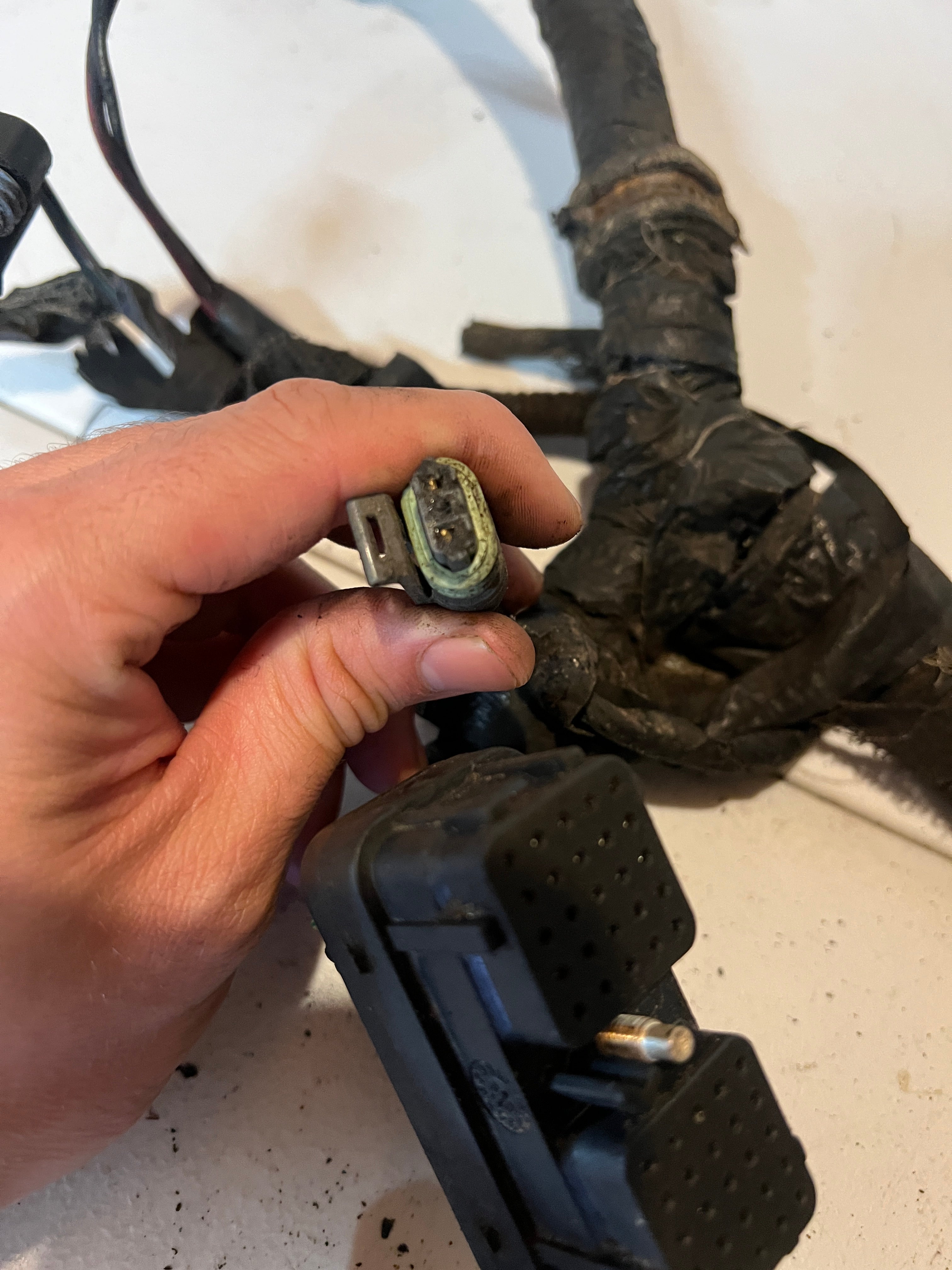2000-2000 Dodge Ram 24 Valve 5.9L Cummins ECM Engine Wiring Harness