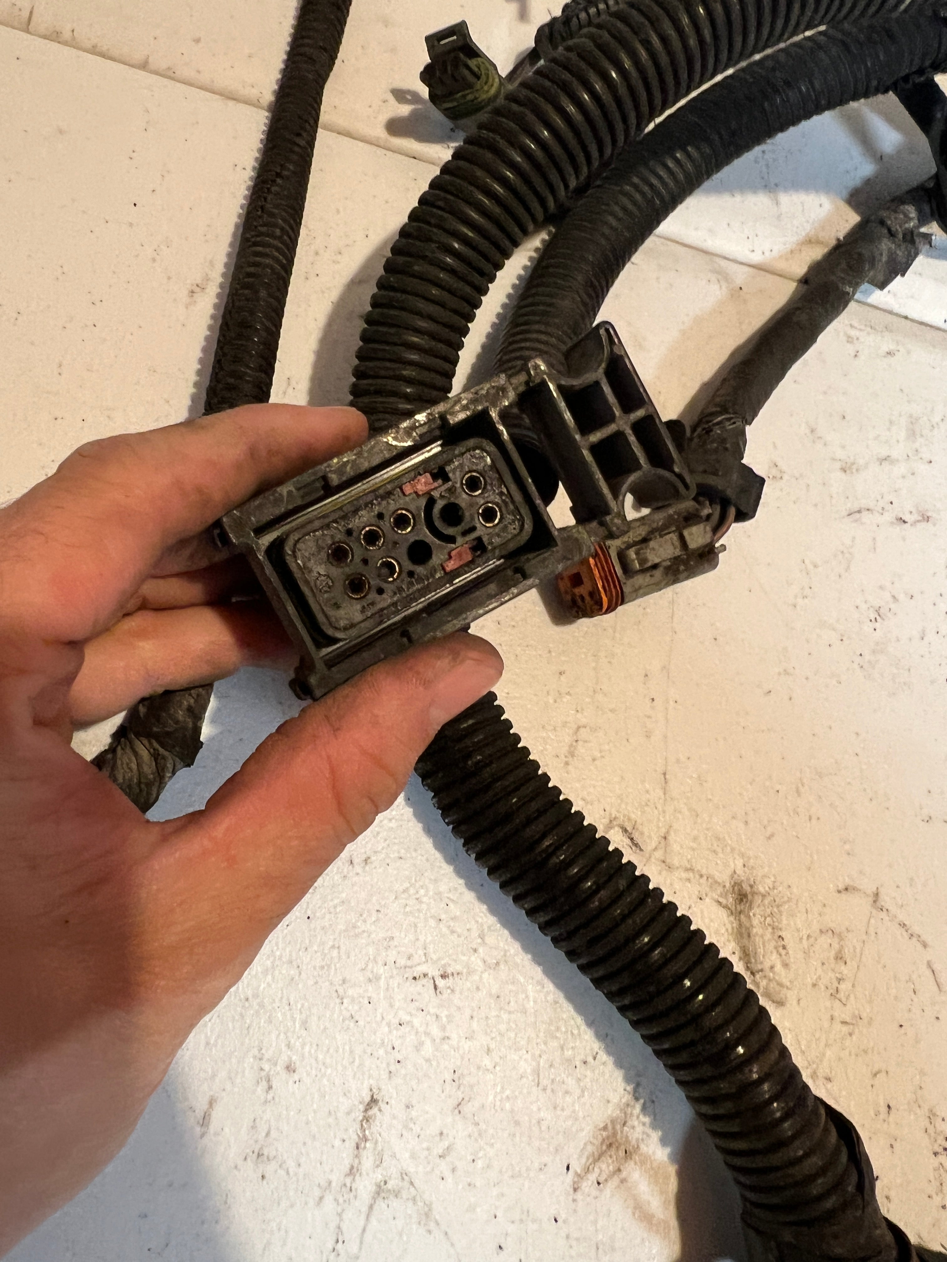 2000.5-2000.5 Dodge Ram 24 Valve 5.9L Cummins ECM Engine Wiring Harness