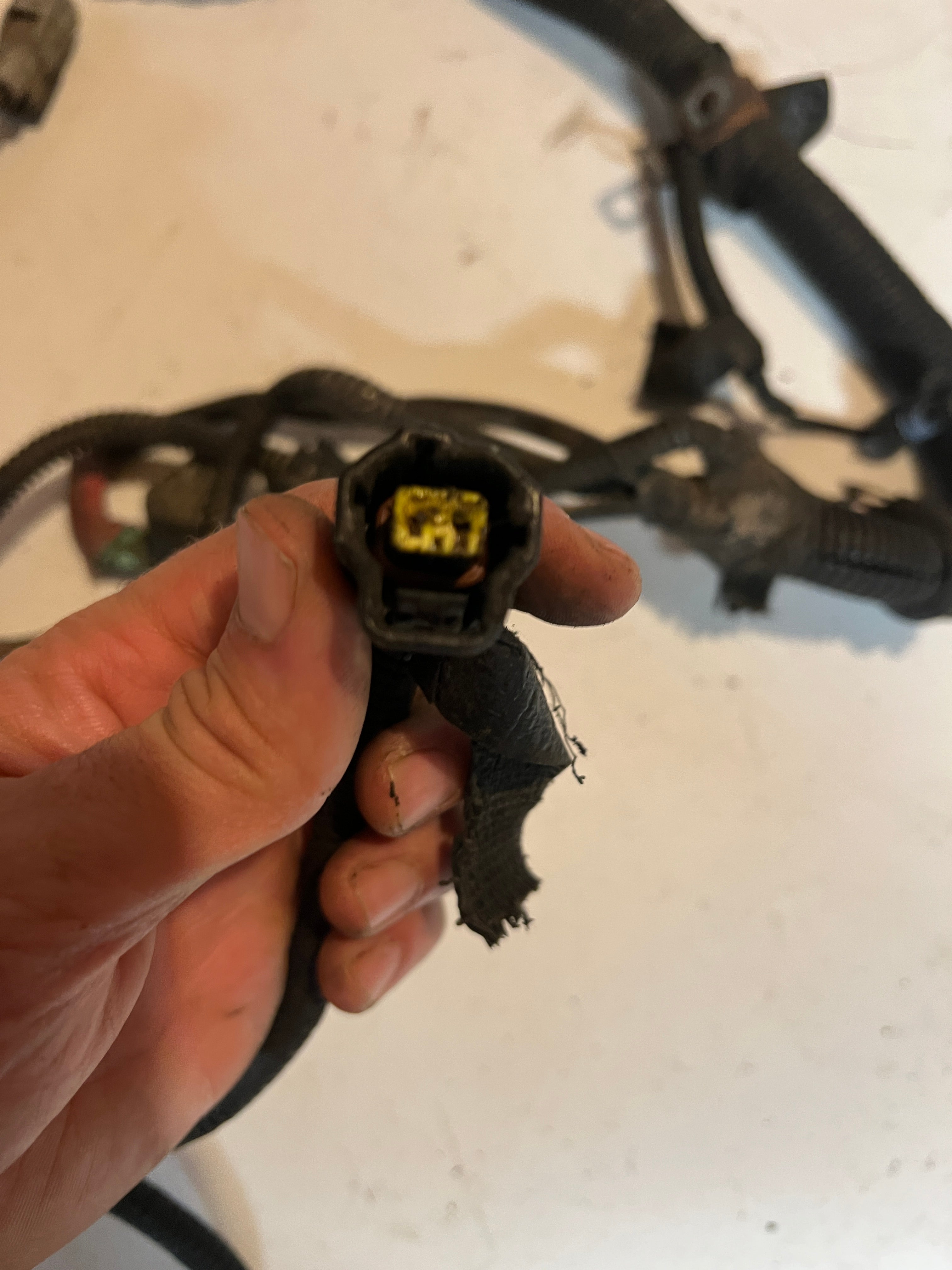 2000.5-2000.5 Dodge Ram 24 Valve 5.9L Cummins ECM Engine Wiring Harness