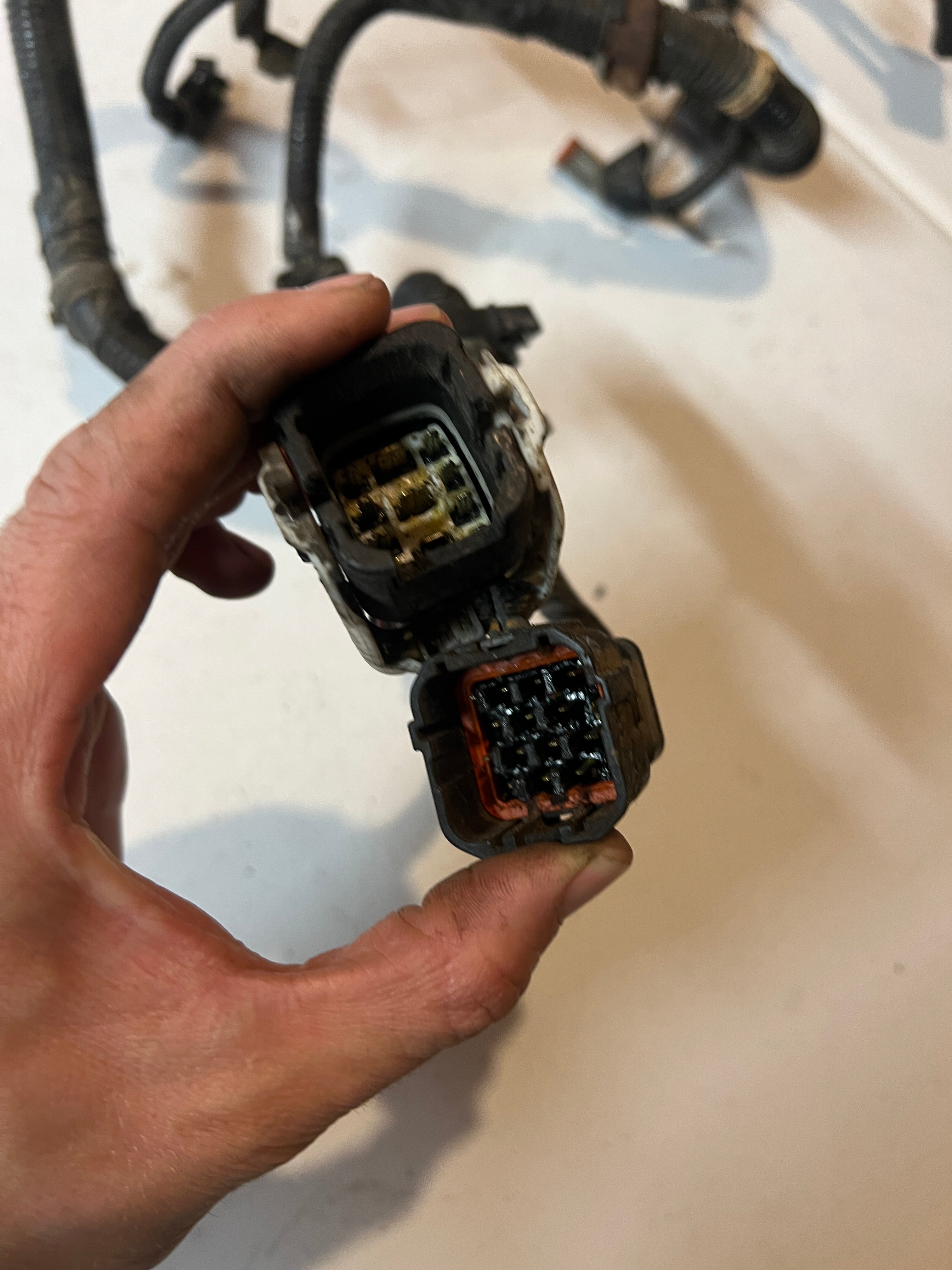 2000.5-2000.5 Dodge Ram 24 Valve 5.9L Cummins ECM Engine Wiring Harness