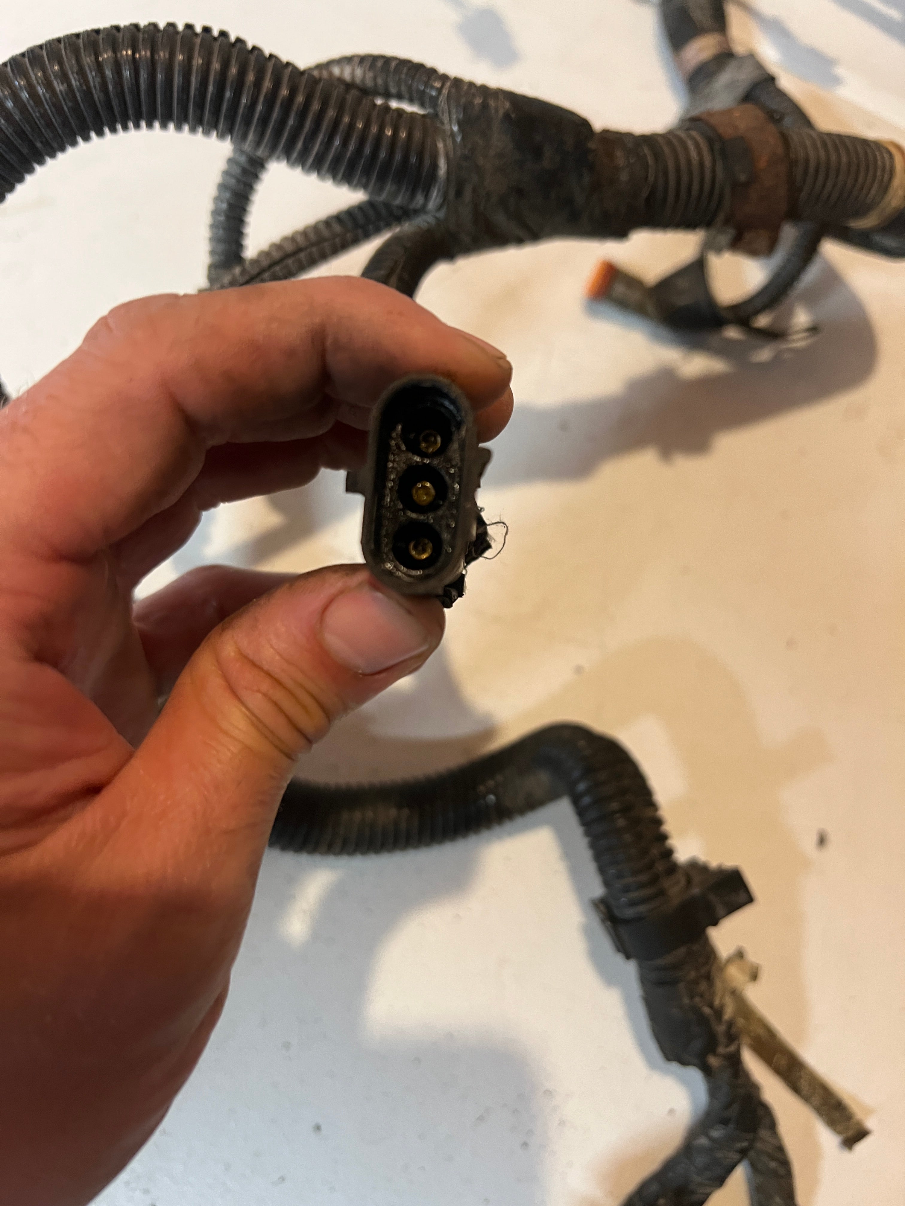 2000.5-2000.5 Dodge Ram 24 Valve 5.9L Cummins ECM Engine Wiring Harness