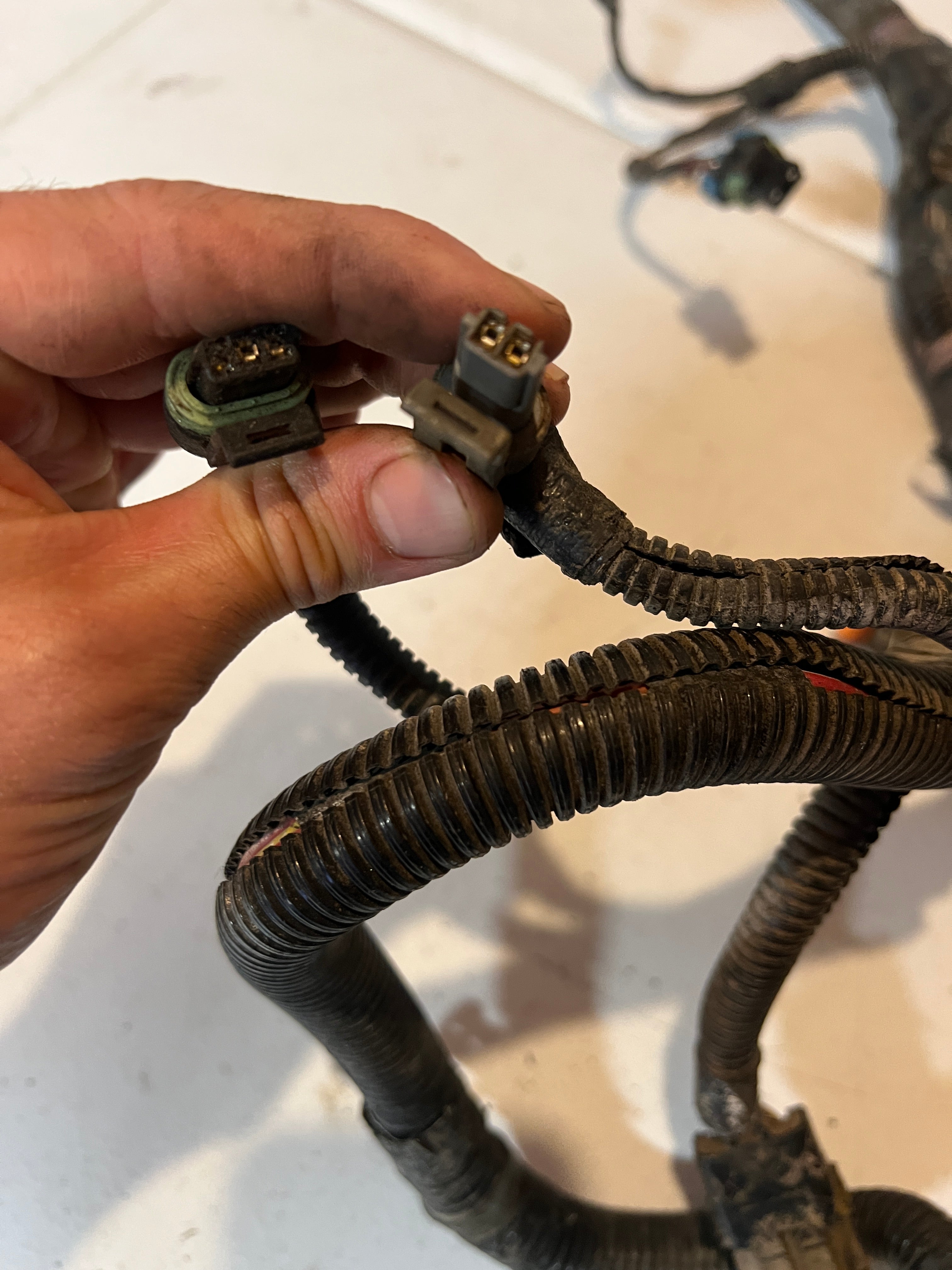 2000.5-2000.5 Dodge Ram 24 Valve 5.9L Cummins ECM Engine Wiring Harness