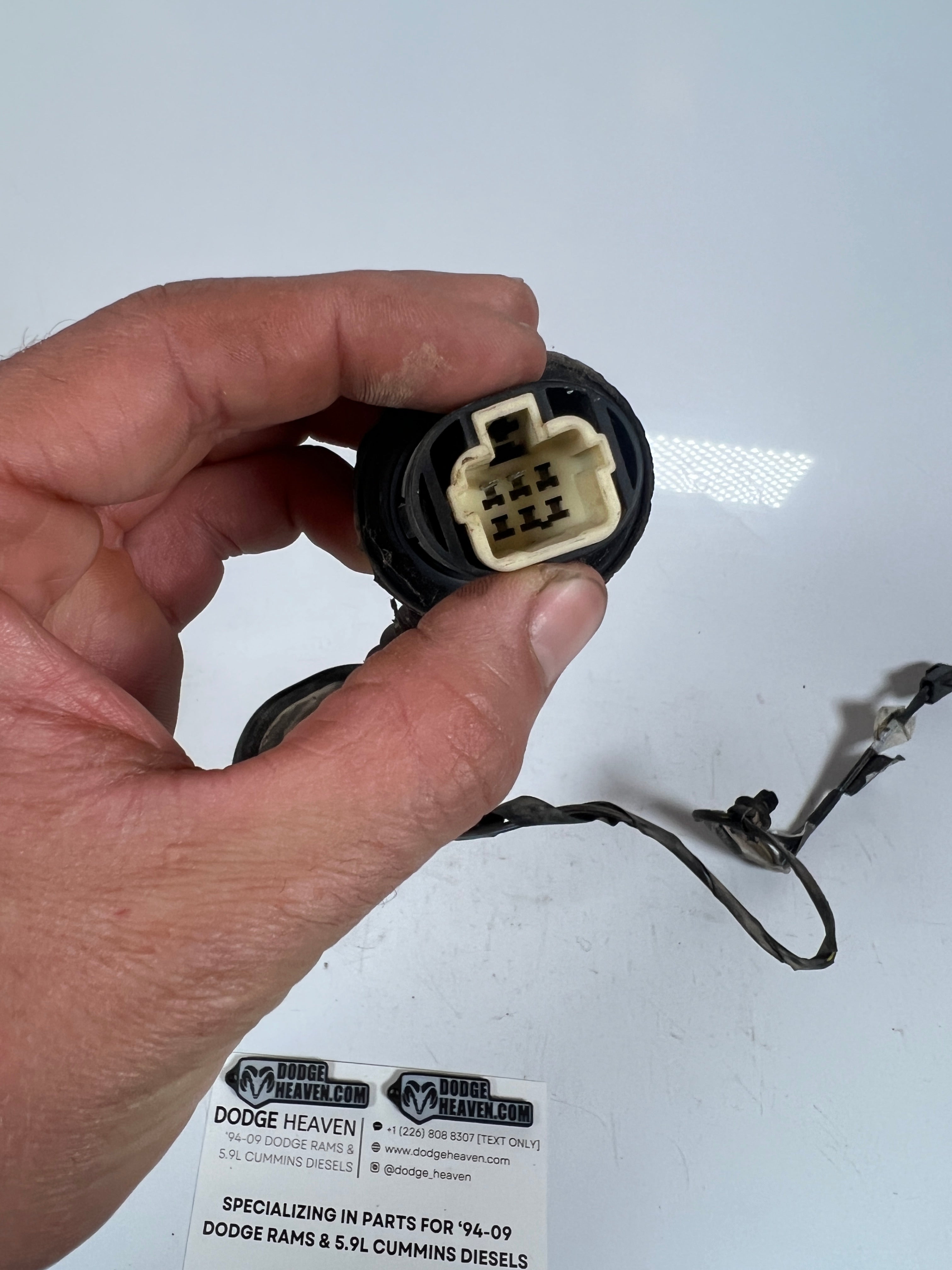 1998-2002 Dodge Ram 1500 2500 3500 Rear Door Speaker Wire Harness (OEM)