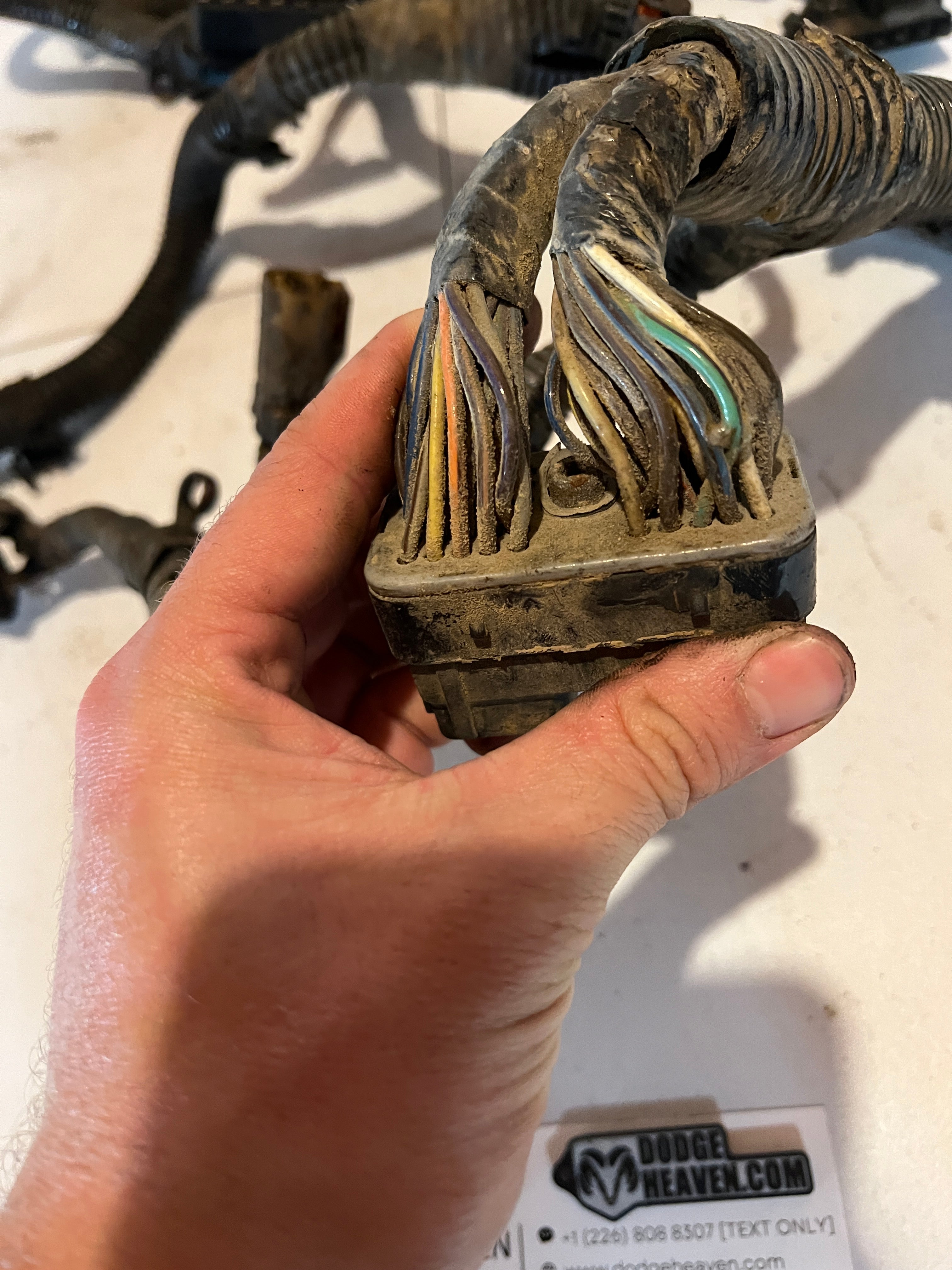 2008-2008 Dodge Ram 2500 3500 6.7L Cummins ECM Main Engine Wiring Harness