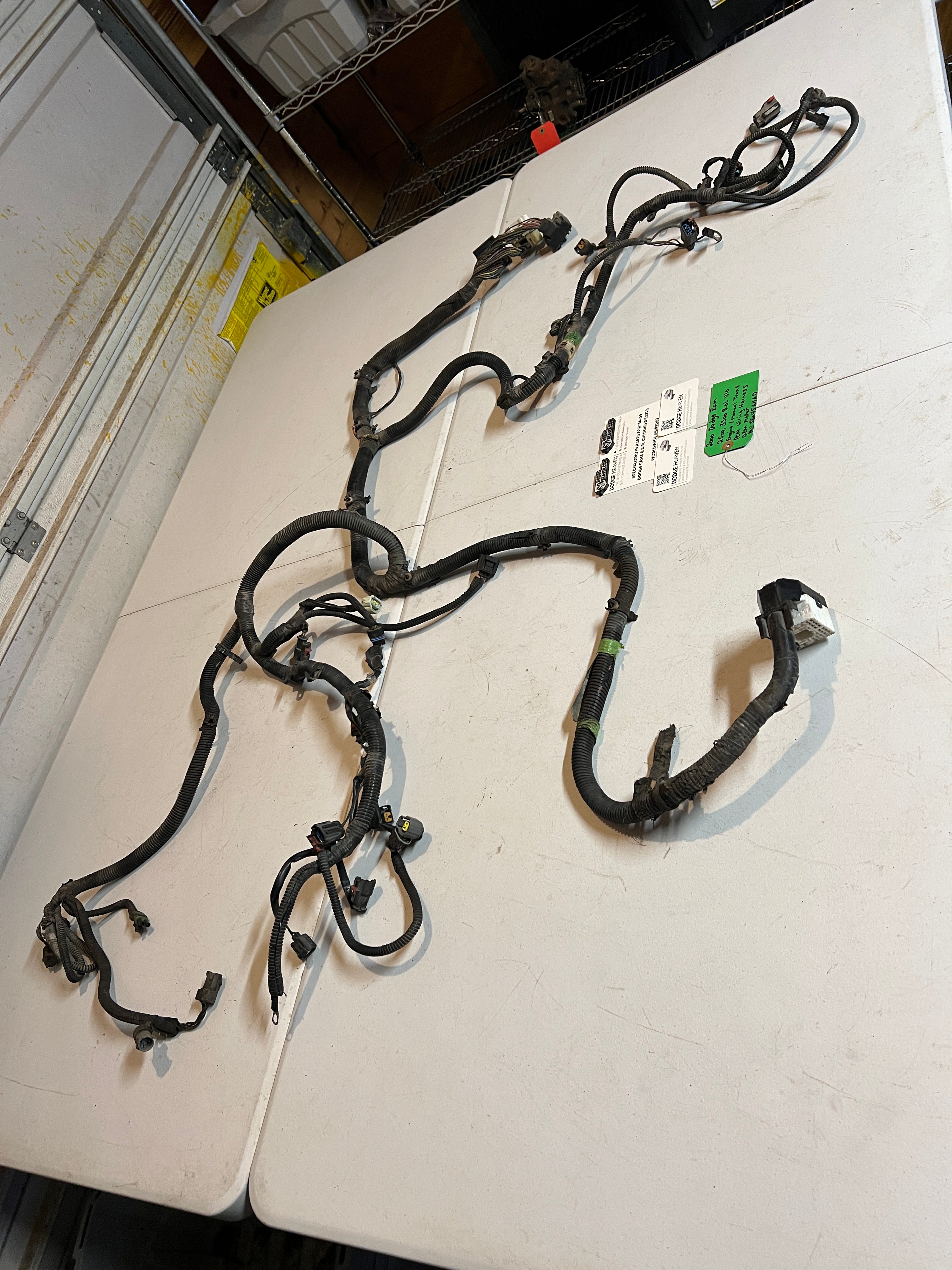 2000-2000 Dodge Ram 8.0L V10 Engine Manual Trans PCM Wiring Harness