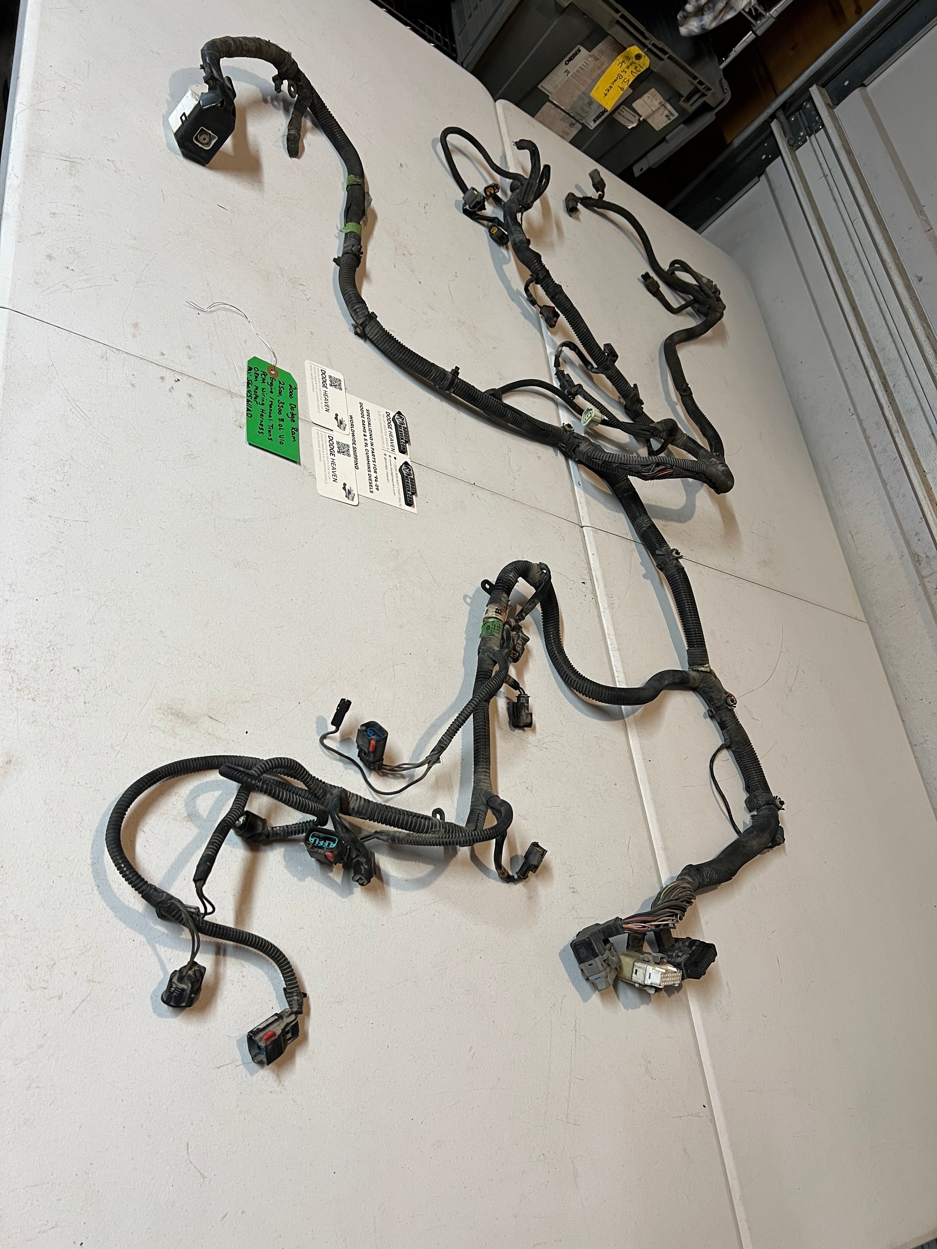 2000-2000 Dodge Ram 8.0L V10 Engine Manual Trans PCM Wiring Harness