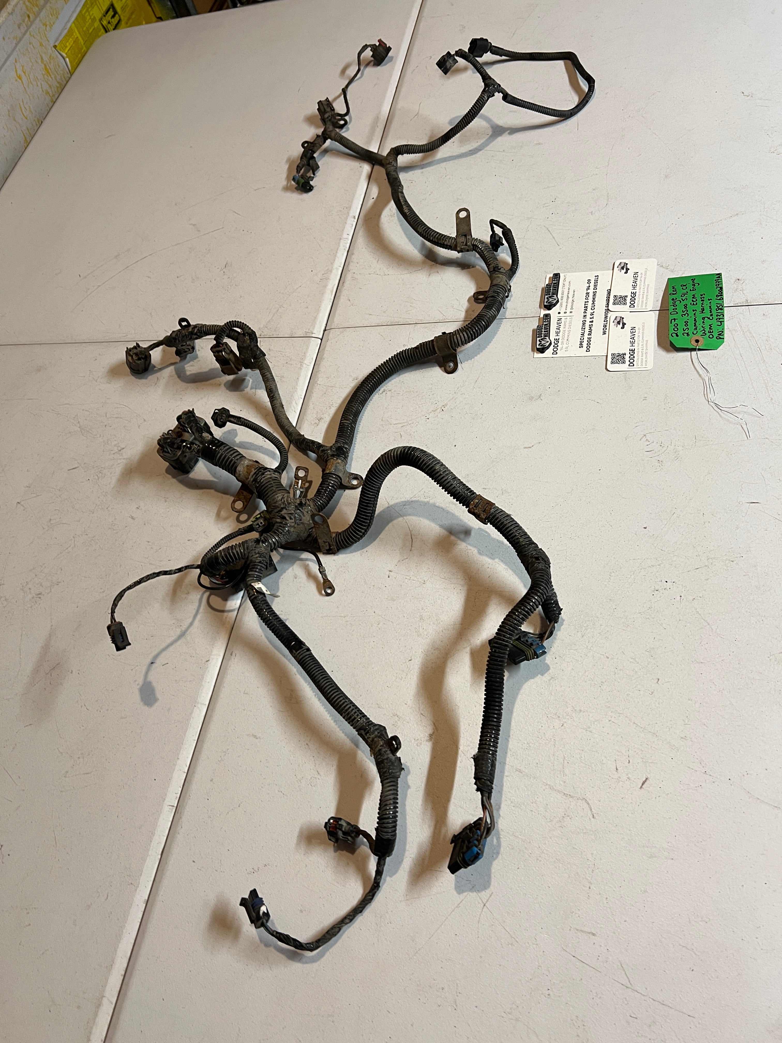 2007-2007 Dodge Ram 5.9L Cummins ECM Engine Wiring Harness