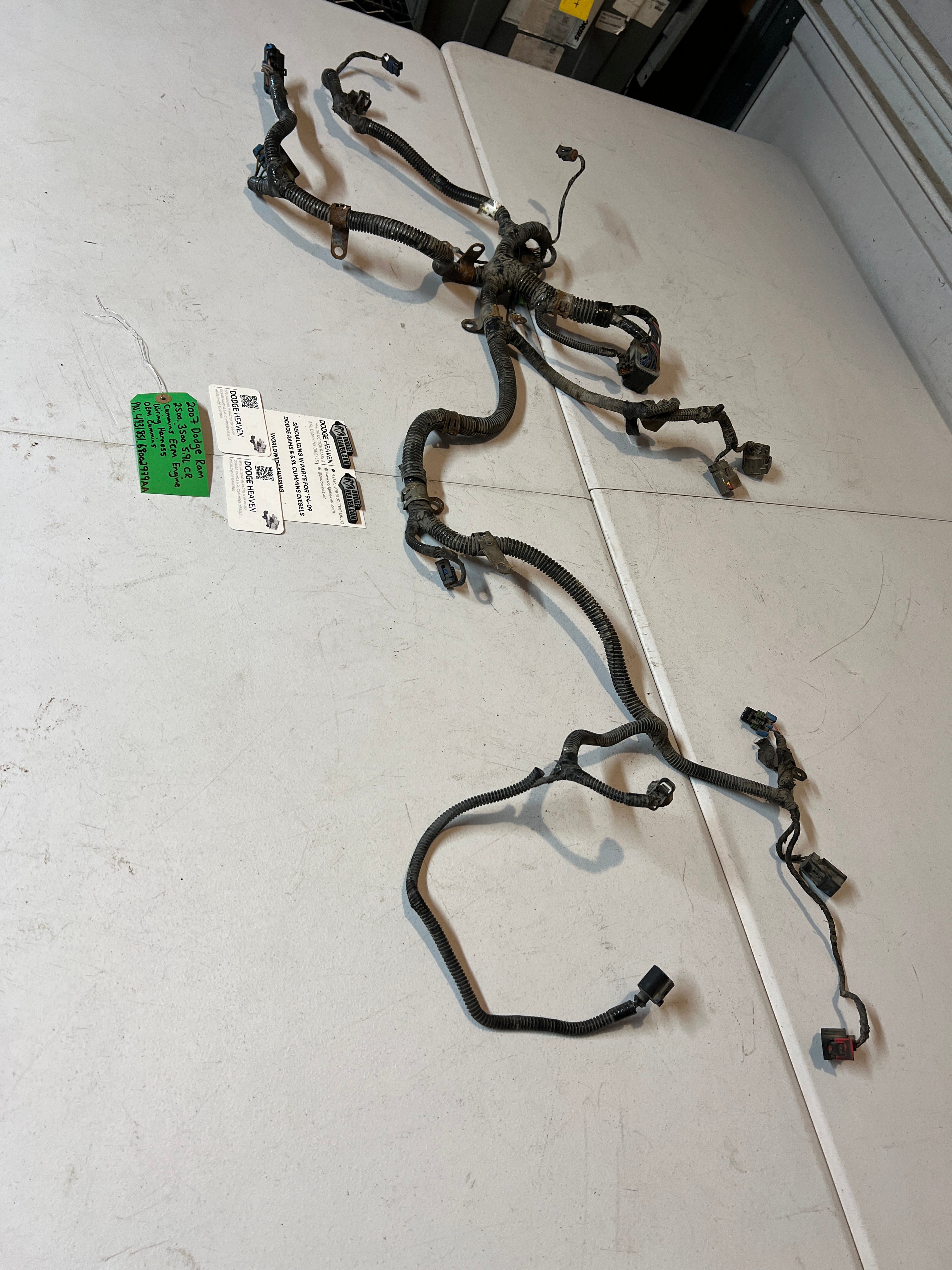 2007-2007 Dodge Ram 5.9L Cummins ECM Engine Wiring Harness