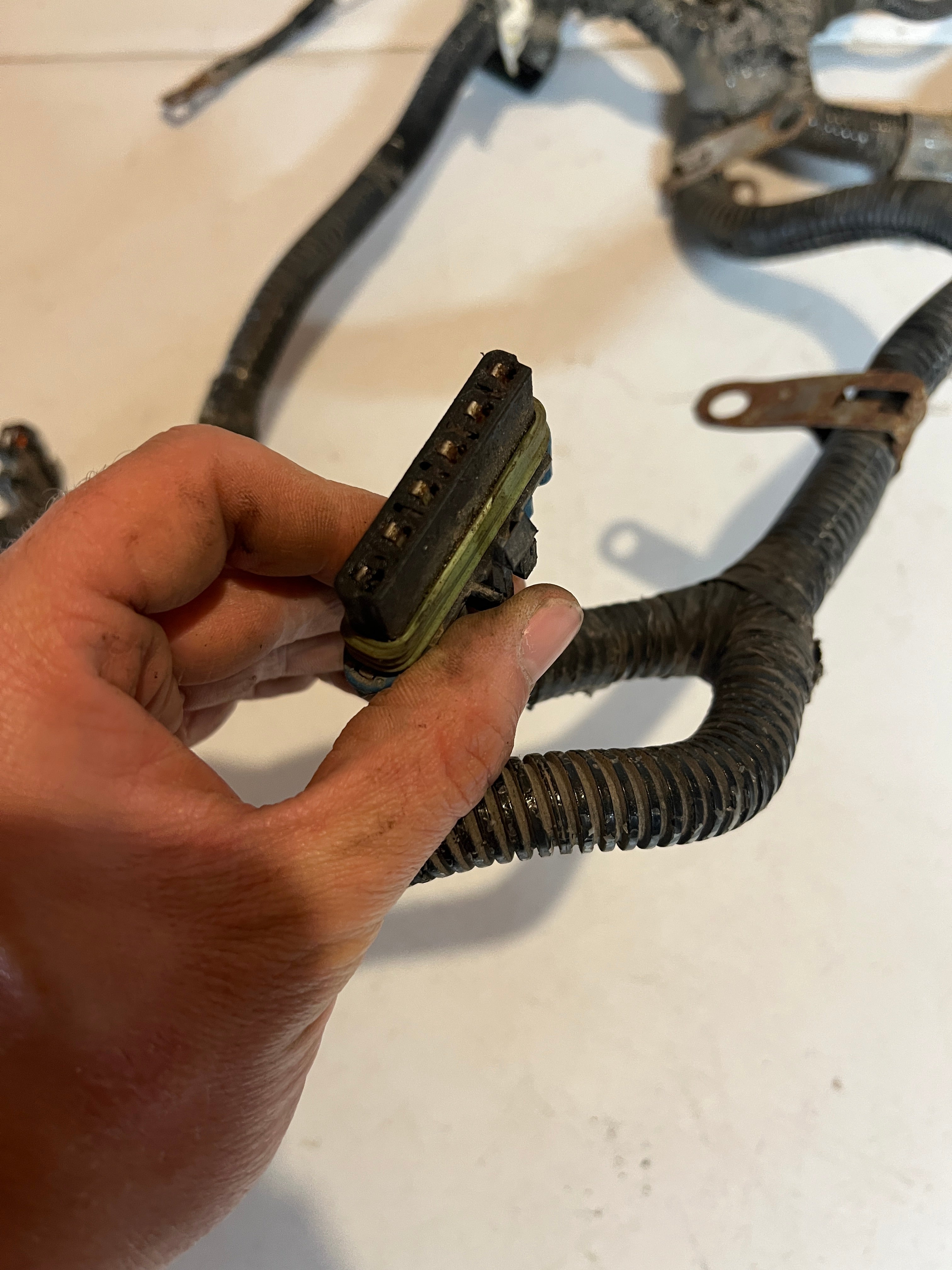2007-2007 Dodge Ram 5.9L Cummins ECM Engine Wiring Harness