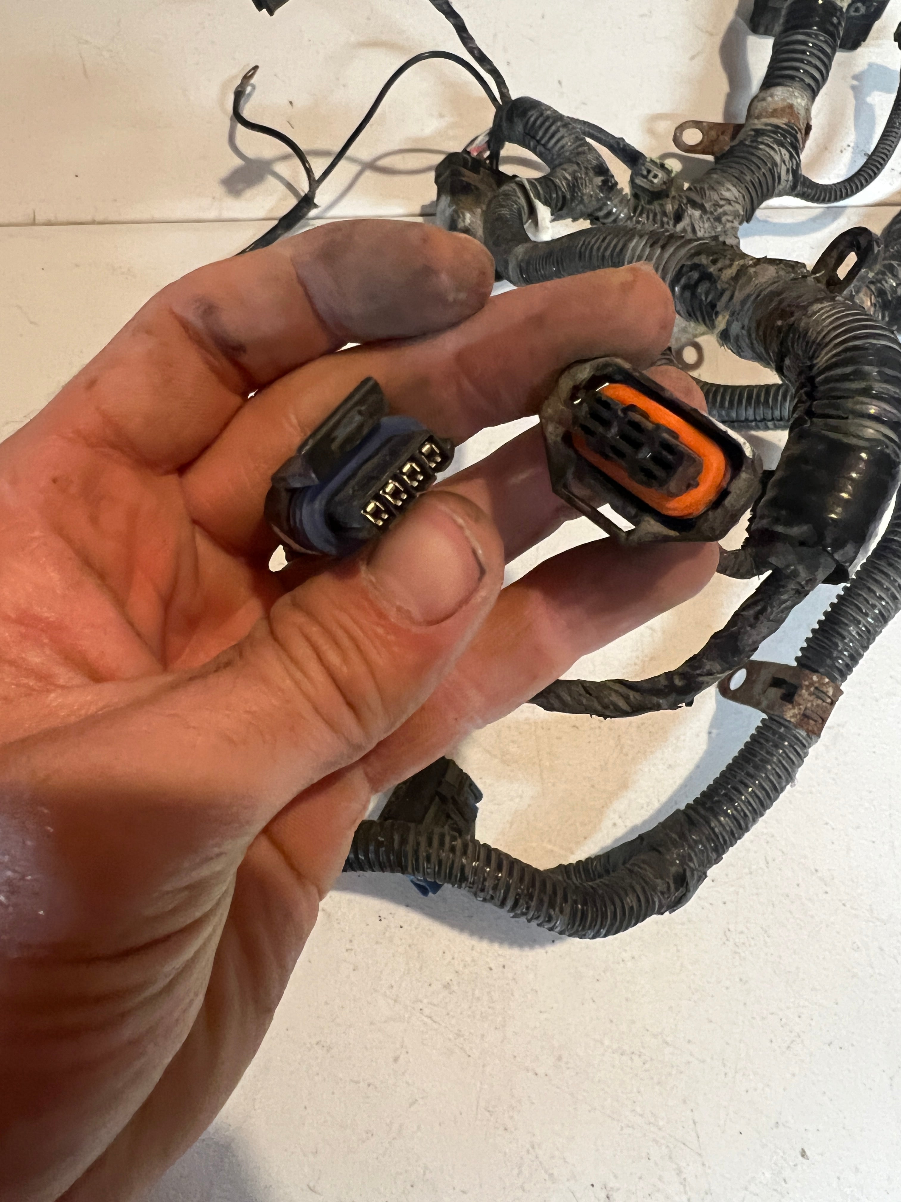 2007-2007 Dodge Ram 5.9L Cummins ECM Engine Wiring Harness
