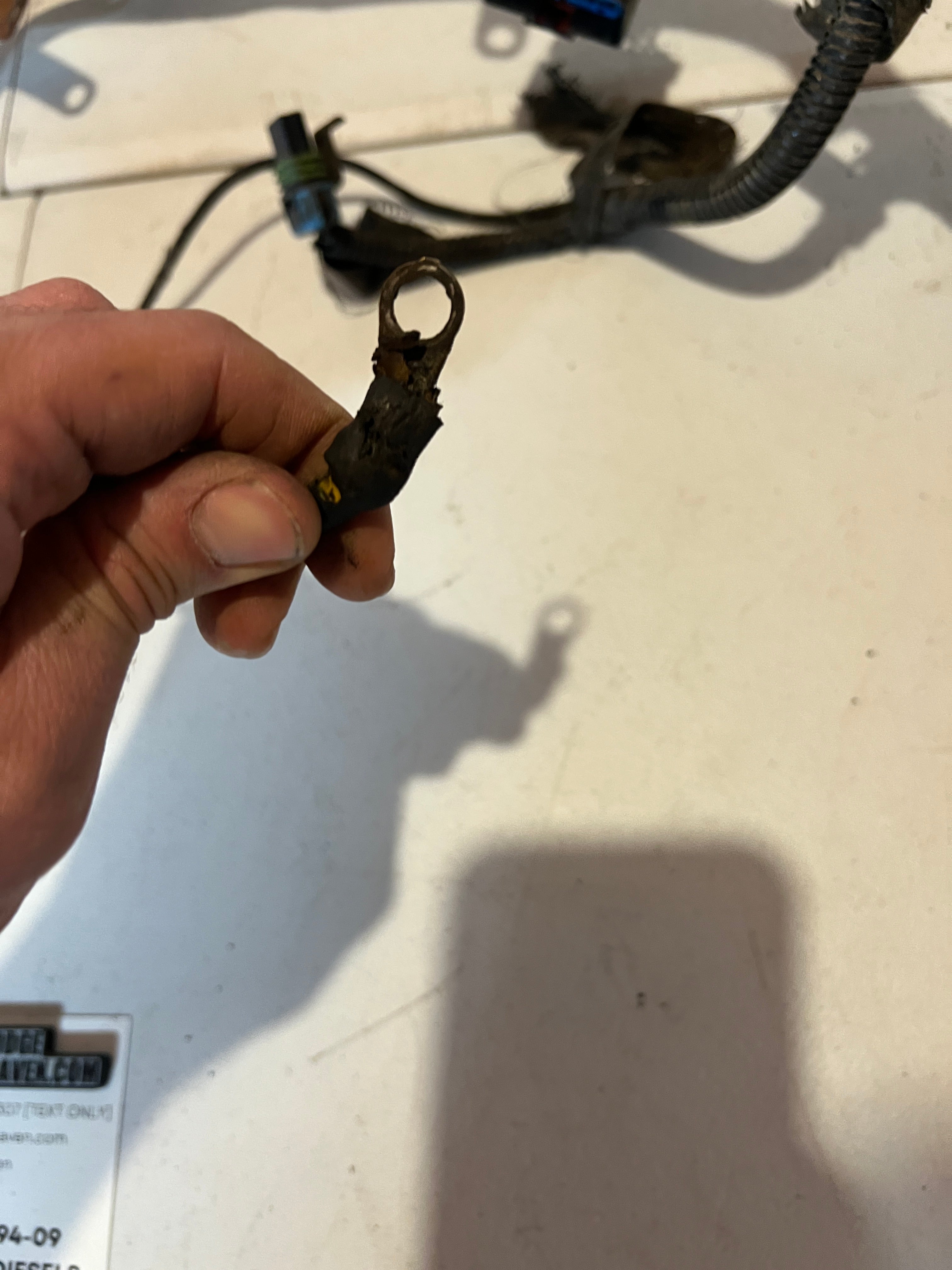 2007-2007 Dodge Ram 5.9L Cummins ECM Engine Wiring Harness