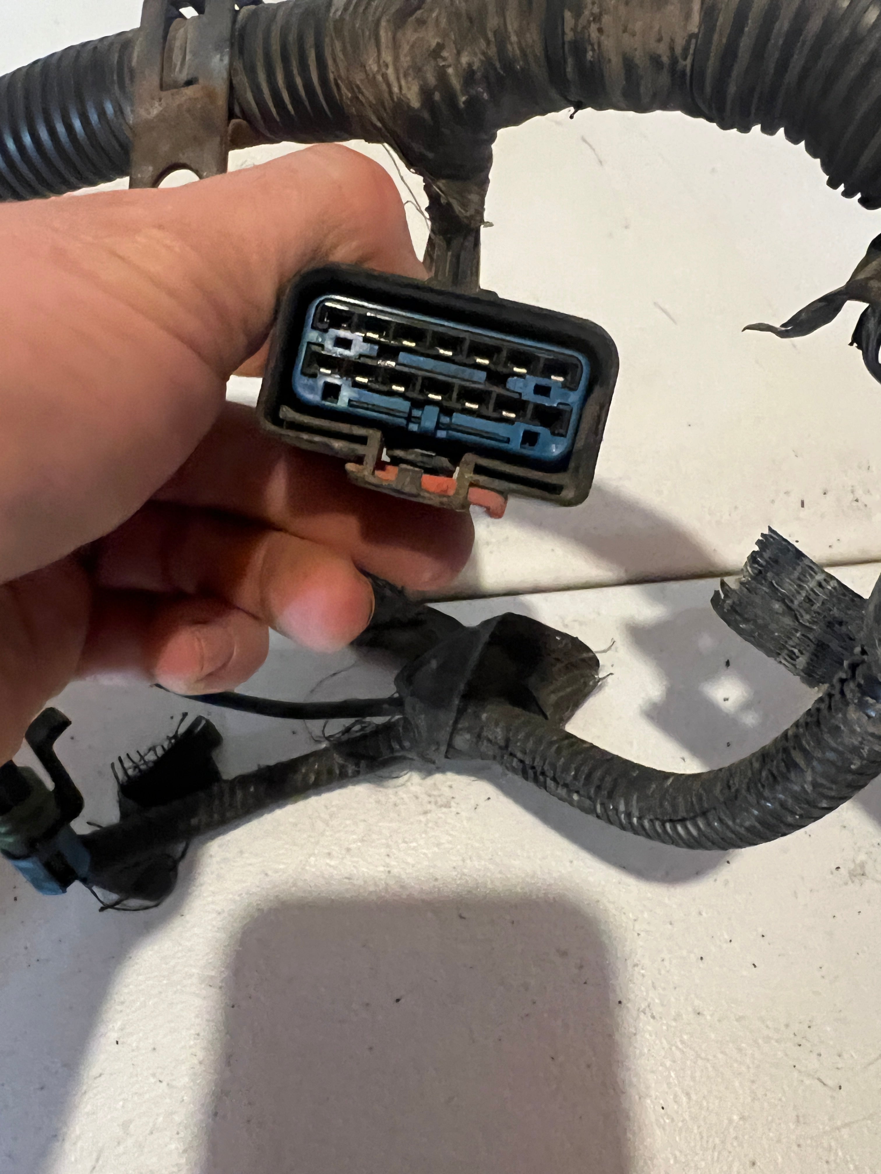 2007-2007 Dodge Ram 5.9L Cummins ECM Engine Wiring Harness