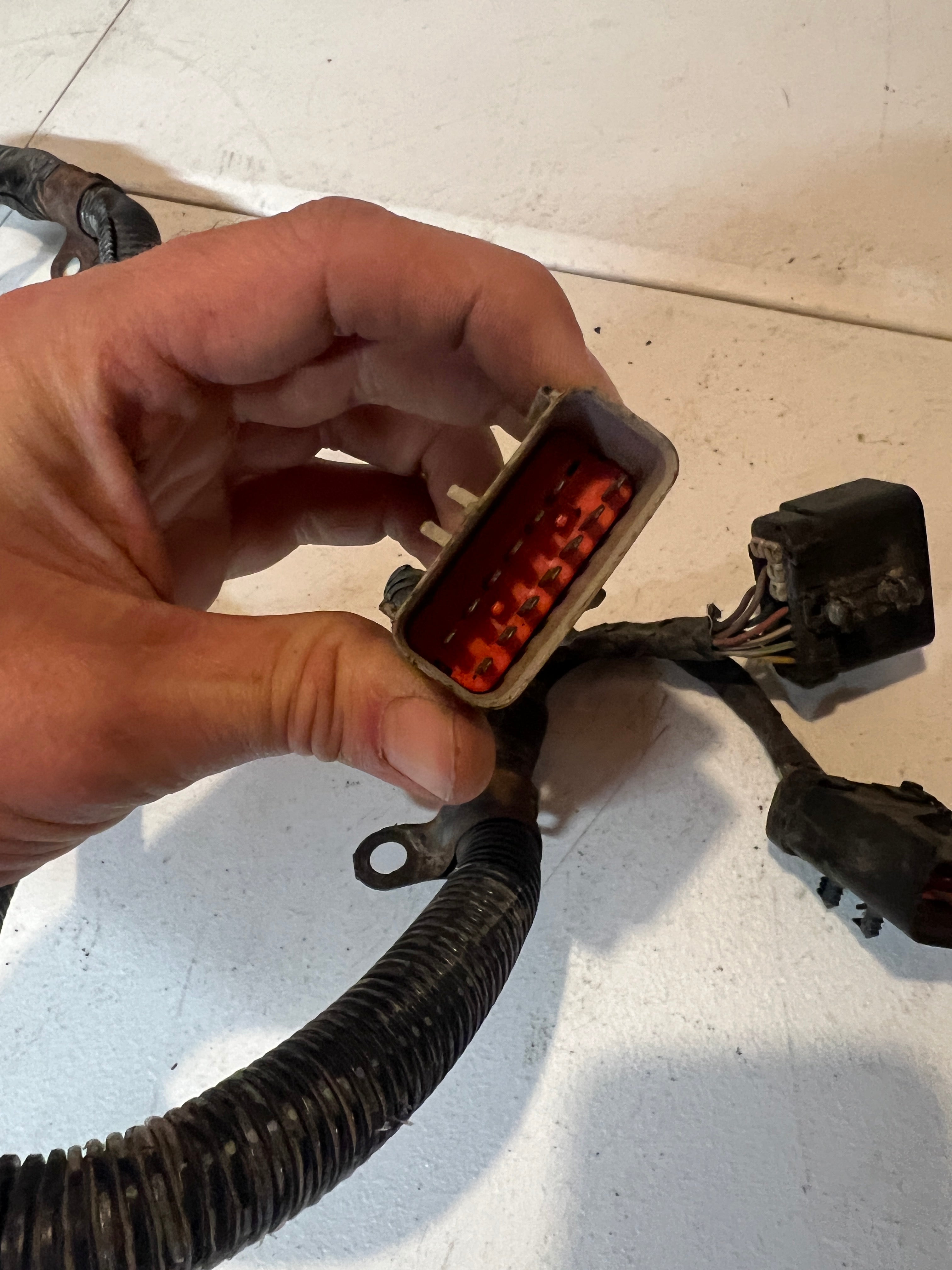 2004.5-2004.5 Dodge Ram 5.9L Cummins Engine ECM to Trans Wiring Harness Rear
