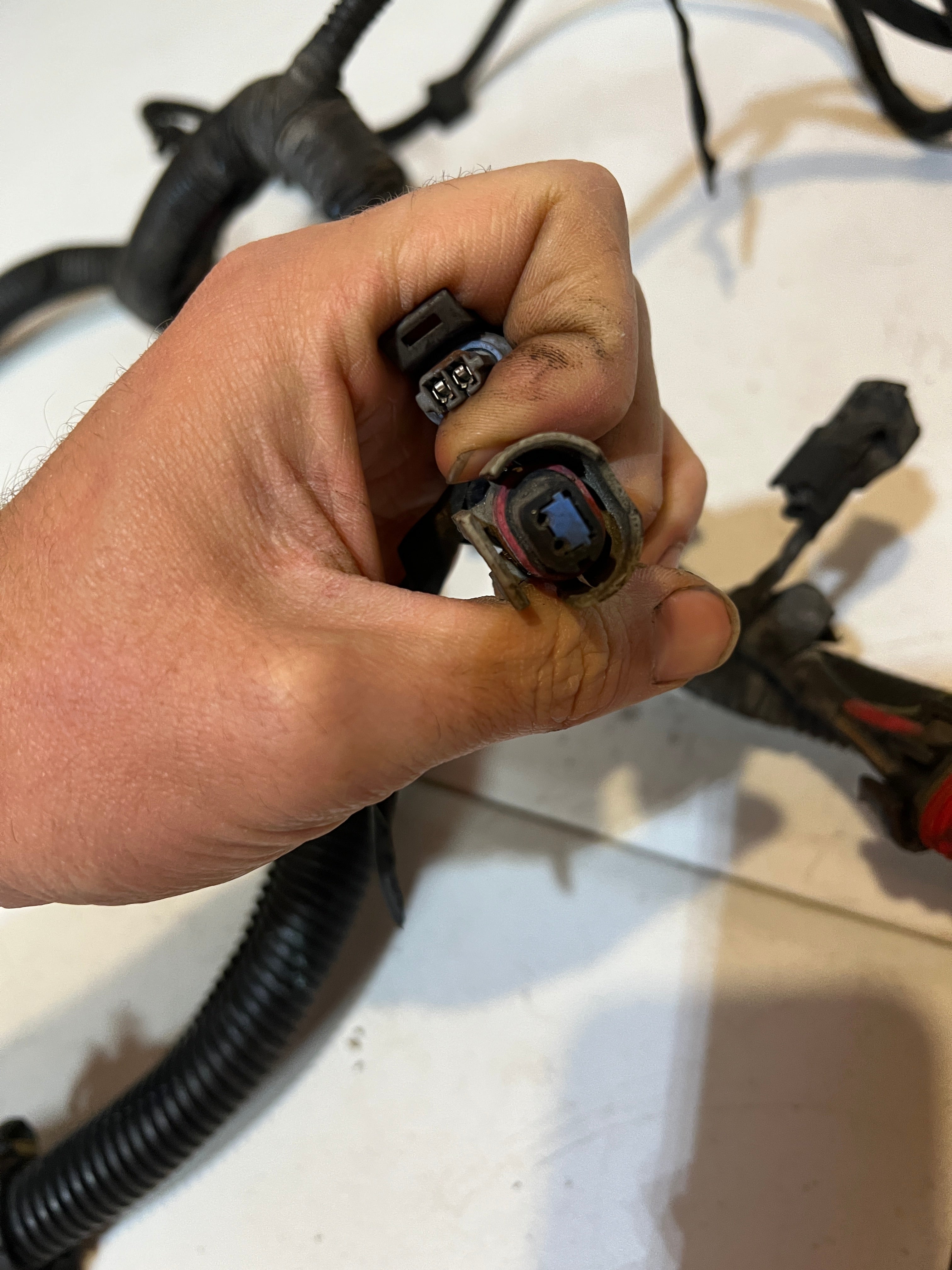 1998-1998 Dodge Ram 12 Valve 5.9L Cummins 5-Speed Engine / Trans Wiring