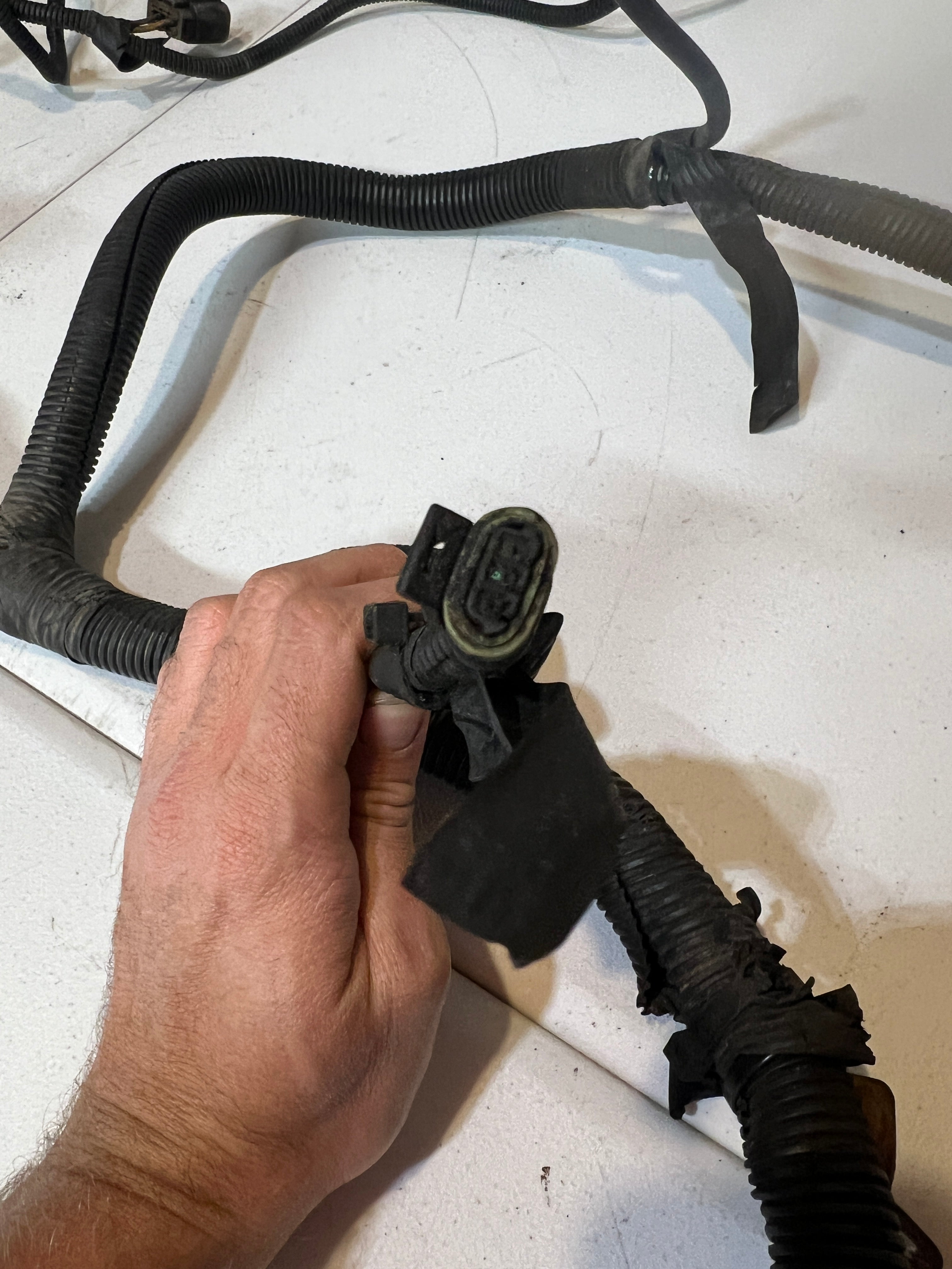 1998-1998 Dodge Ram 12 Valve 5.9L Cummins 5-Speed Engine / Trans Wiring