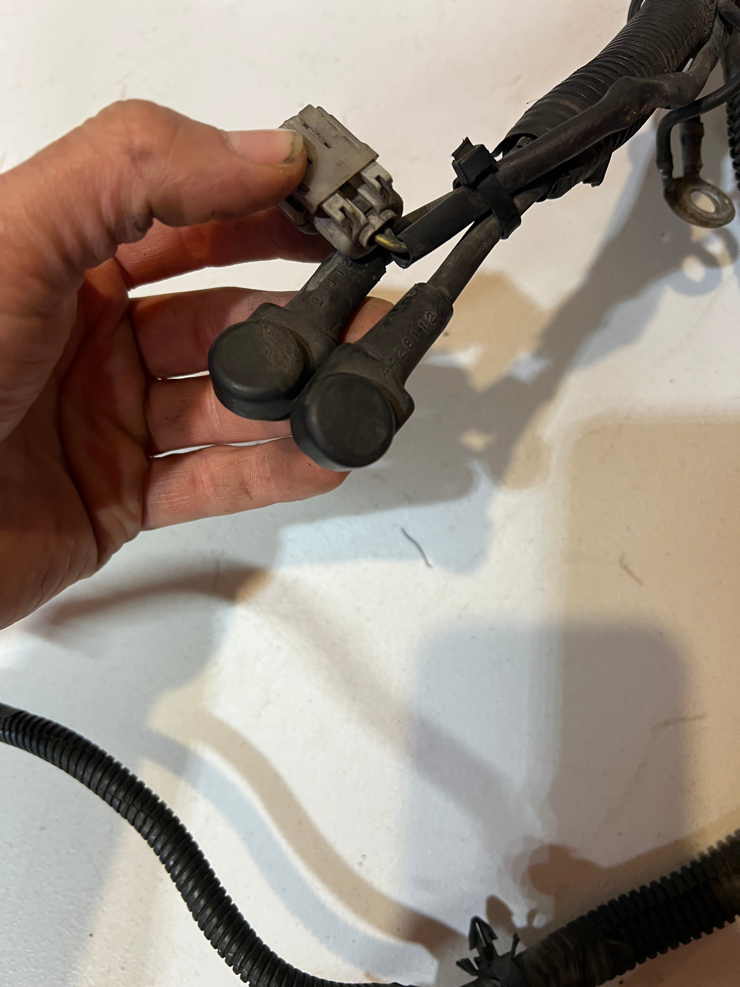 1998-1998 Dodge Ram 12 Valve 5.9L Cummins 5-Speed Engine / Trans Wiring