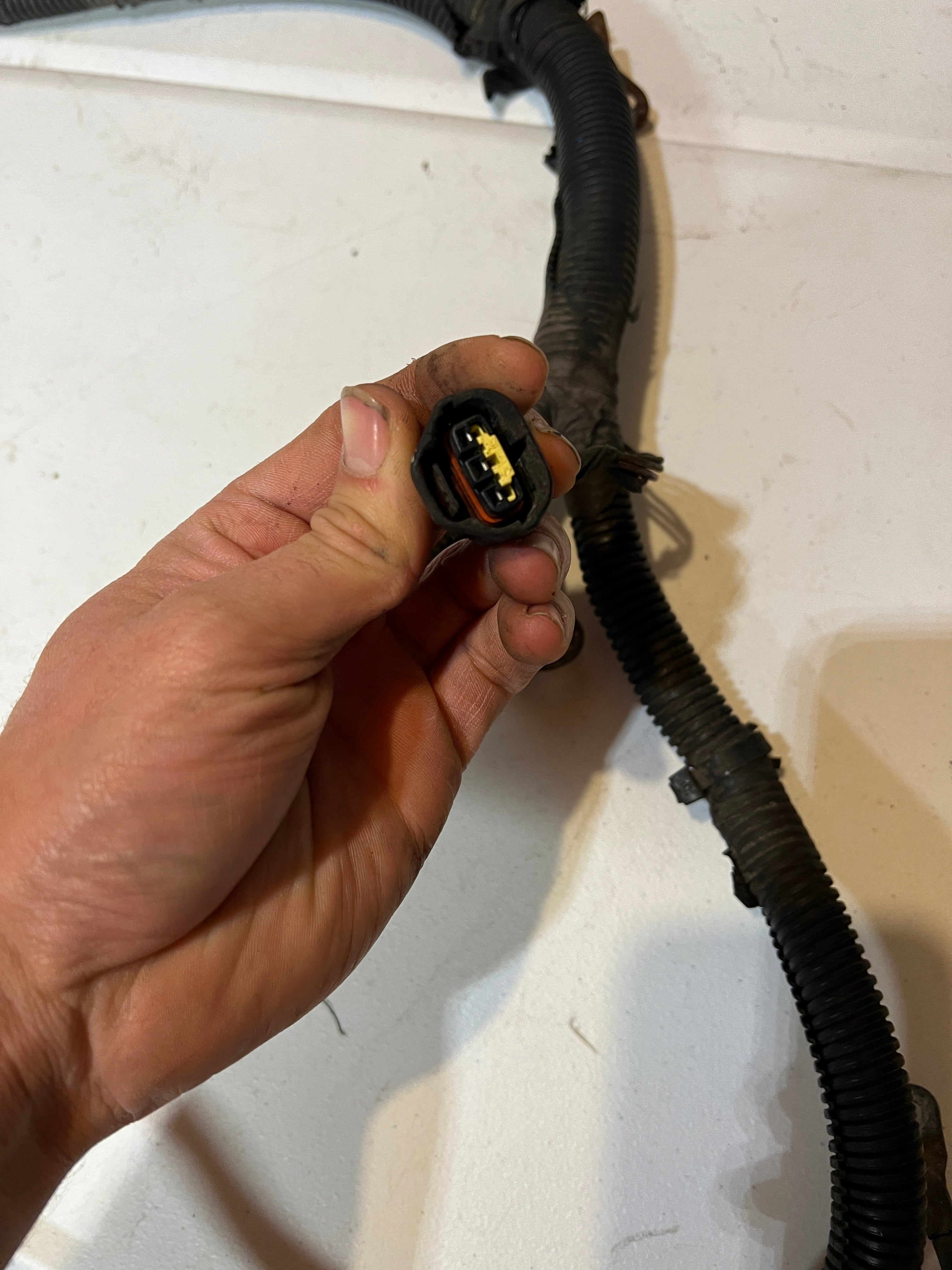 1998-1998 Dodge Ram 12 Valve 5.9L Cummins 5-Speed Engine / Trans Wiring