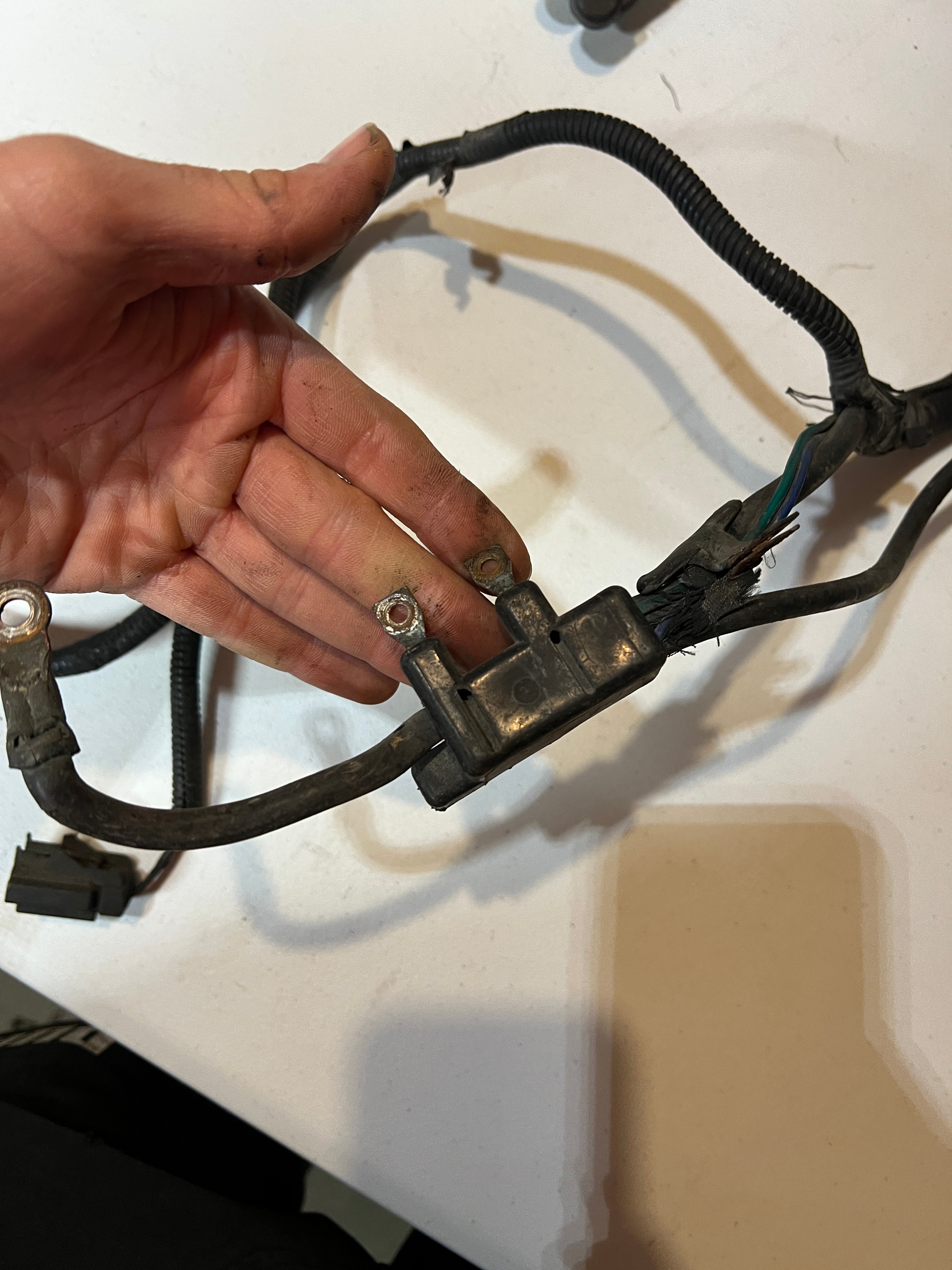 1998-1998 Dodge Ram 12 Valve 5.9L Cummins 5-Speed Engine / Trans Wiring