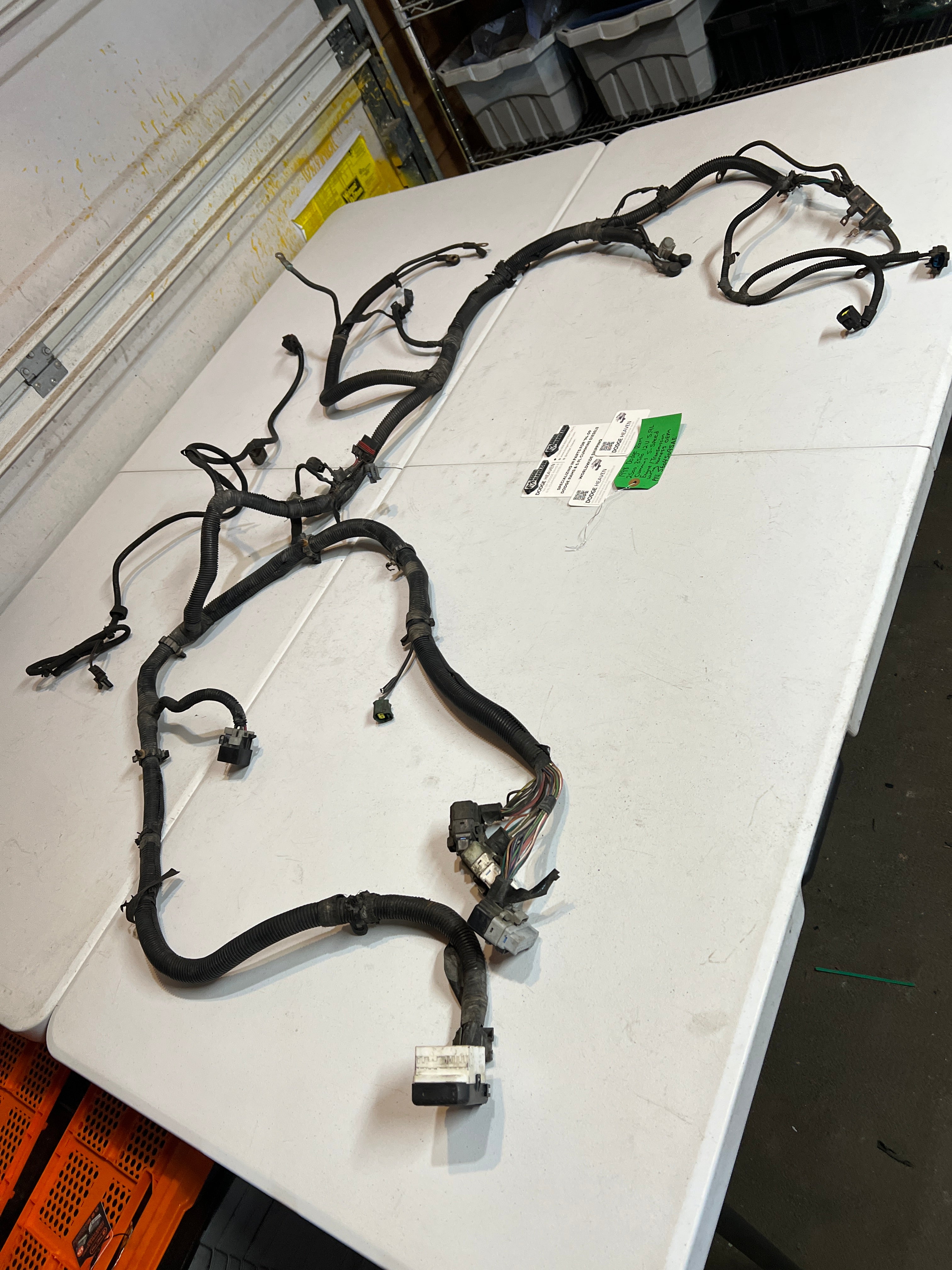 1998-1998 Dodge Ram 12 Valve 5.9L Cummins 5-Speed Engine / Trans Wiring