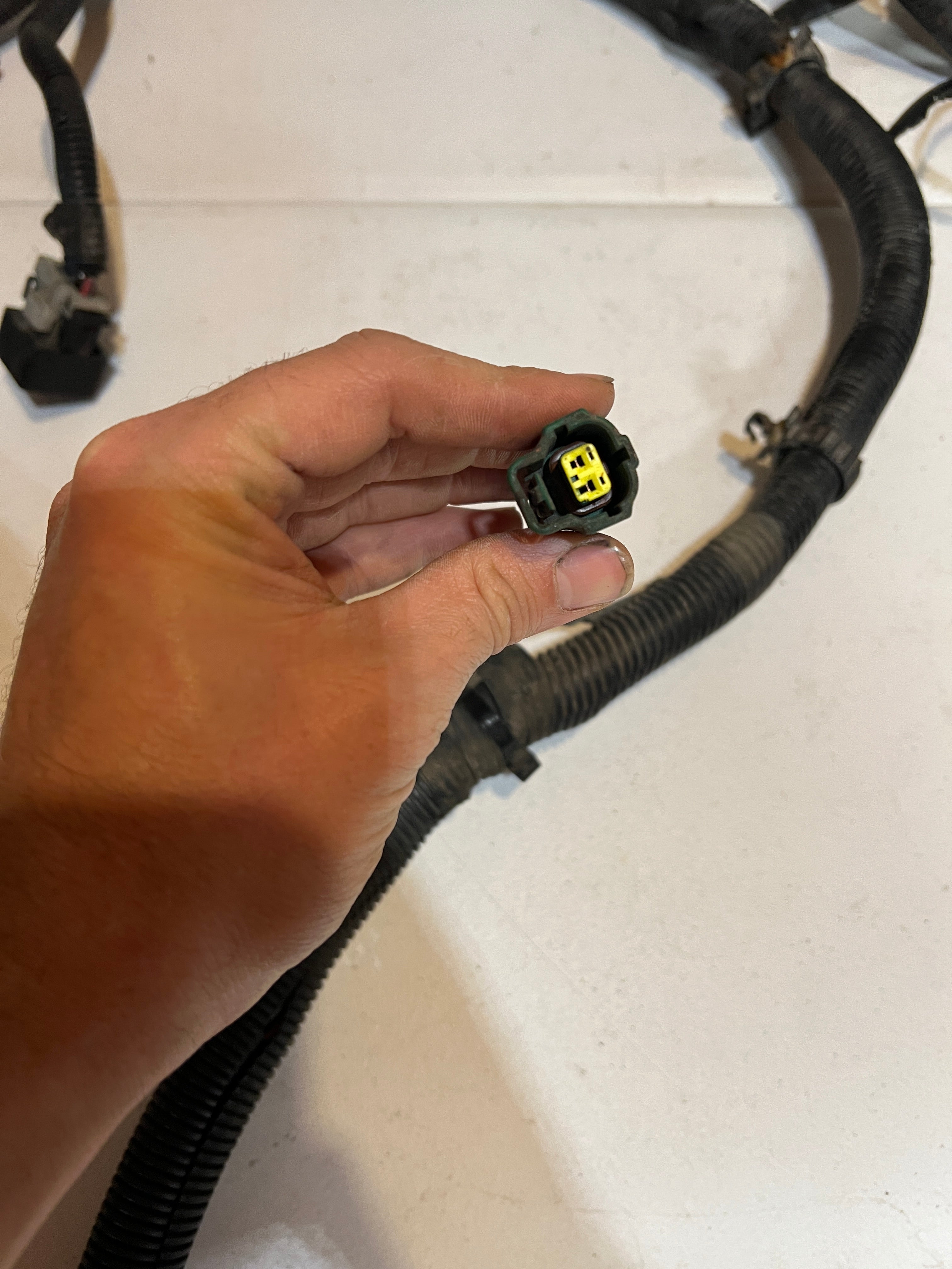 1998-1998 Dodge Ram 12 Valve 5.9L Cummins 5-Speed Engine / Trans Wiring