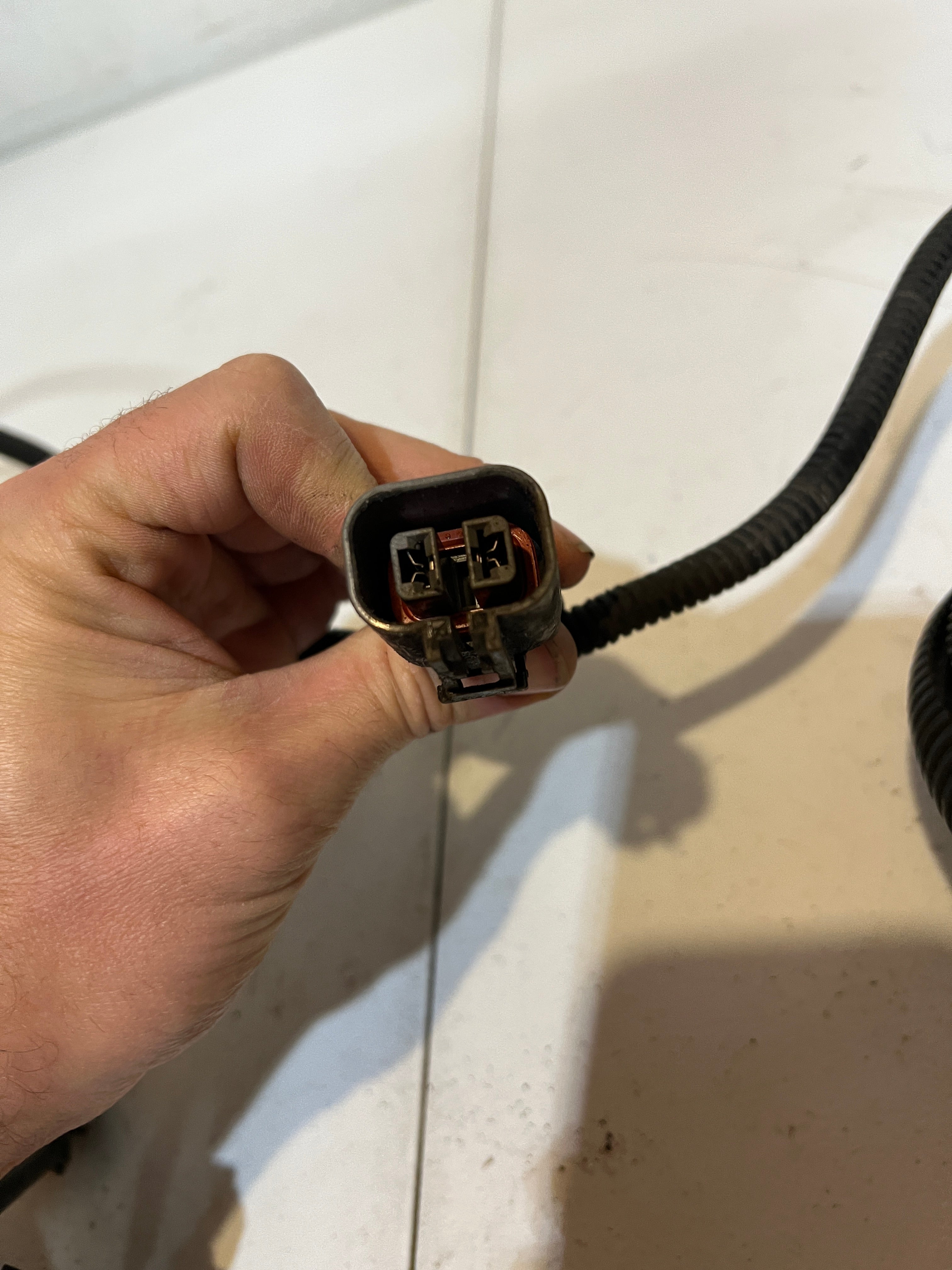 1998-1998 Dodge Ram 12 Valve 5.9L Cummins 5-Speed Engine / Trans Wiring