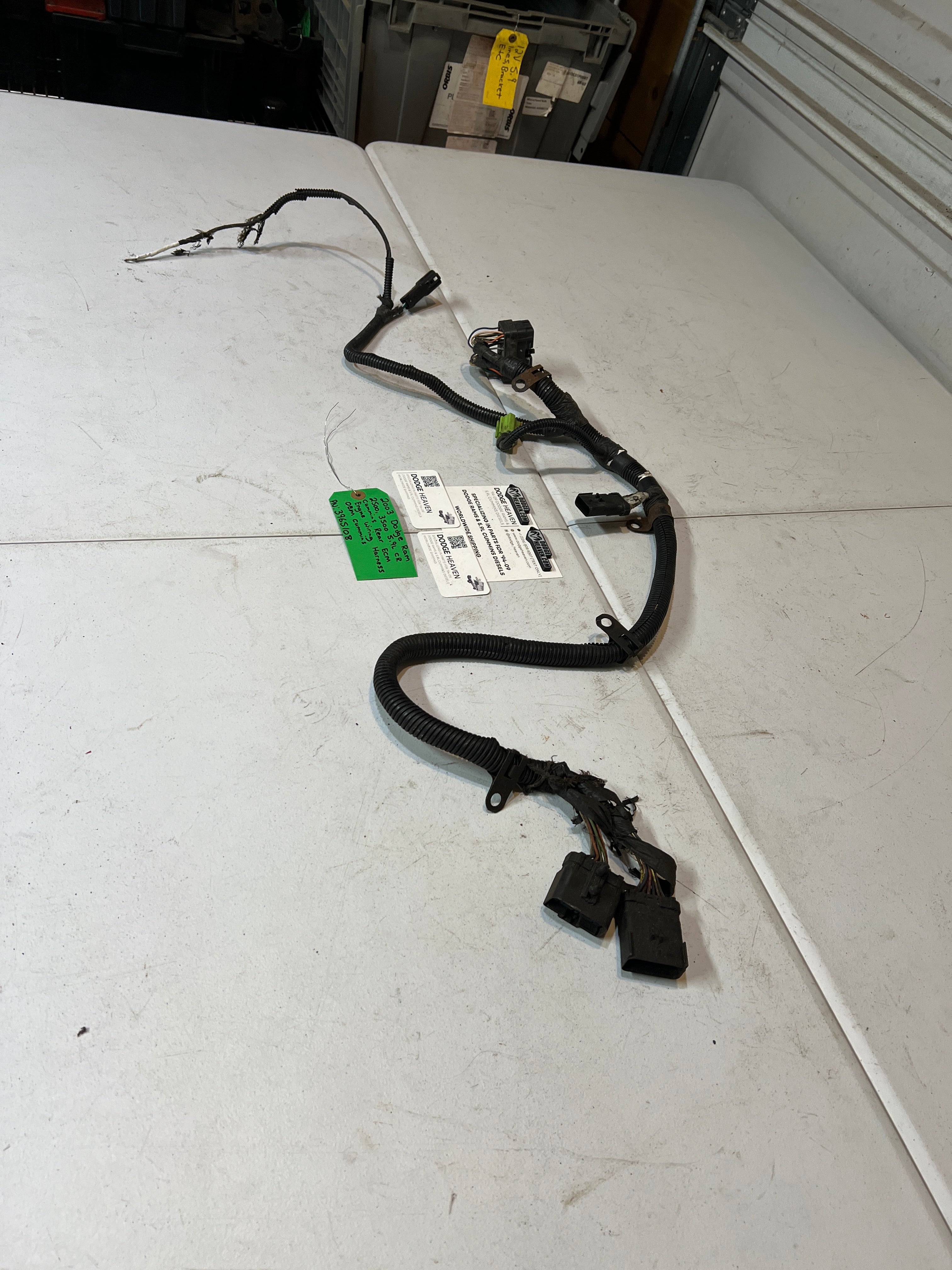 2003-2003 Dodge Ram 5.9L Cummins Rear ECM Engine Wiring Harness