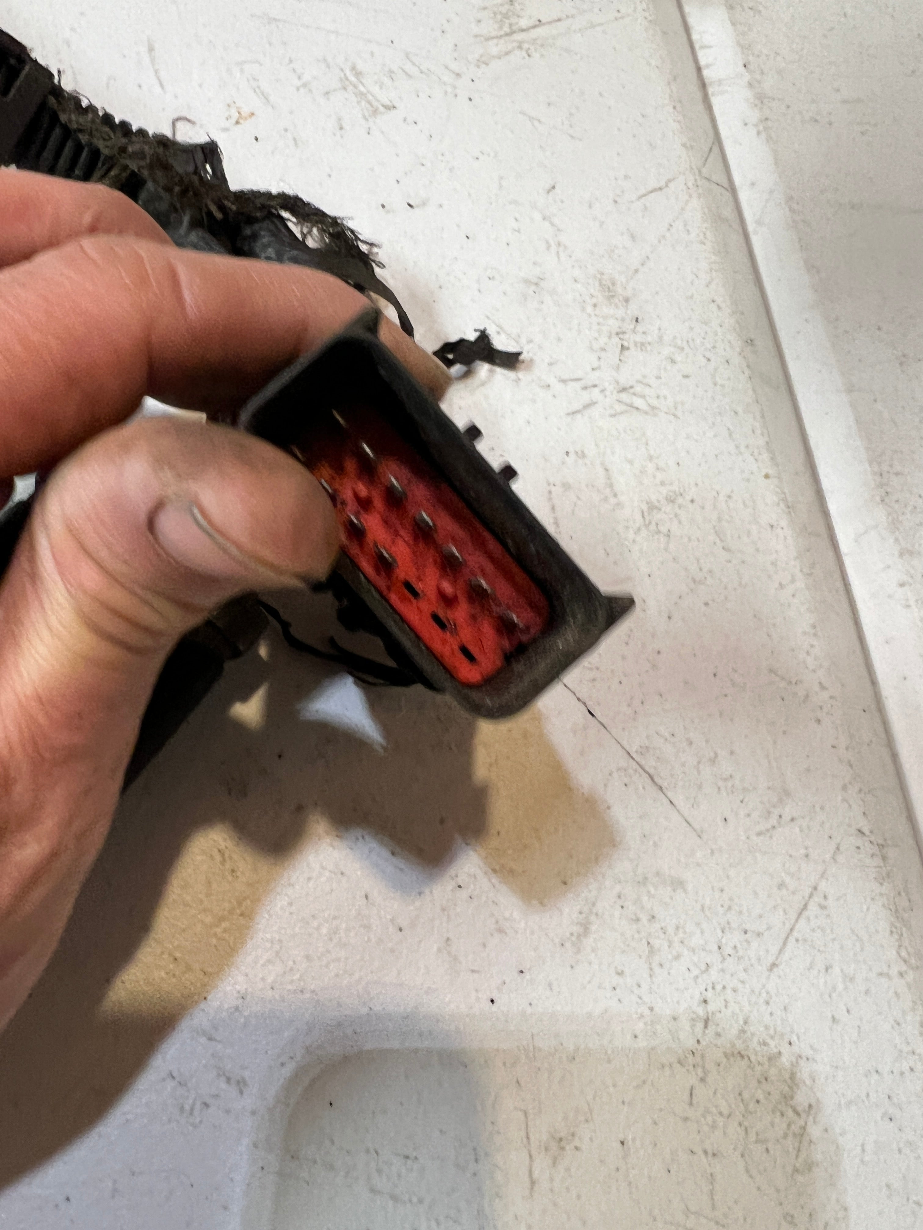 2003-2003 Dodge Ram 5.9L Cummins Rear ECM Engine Wiring Harness