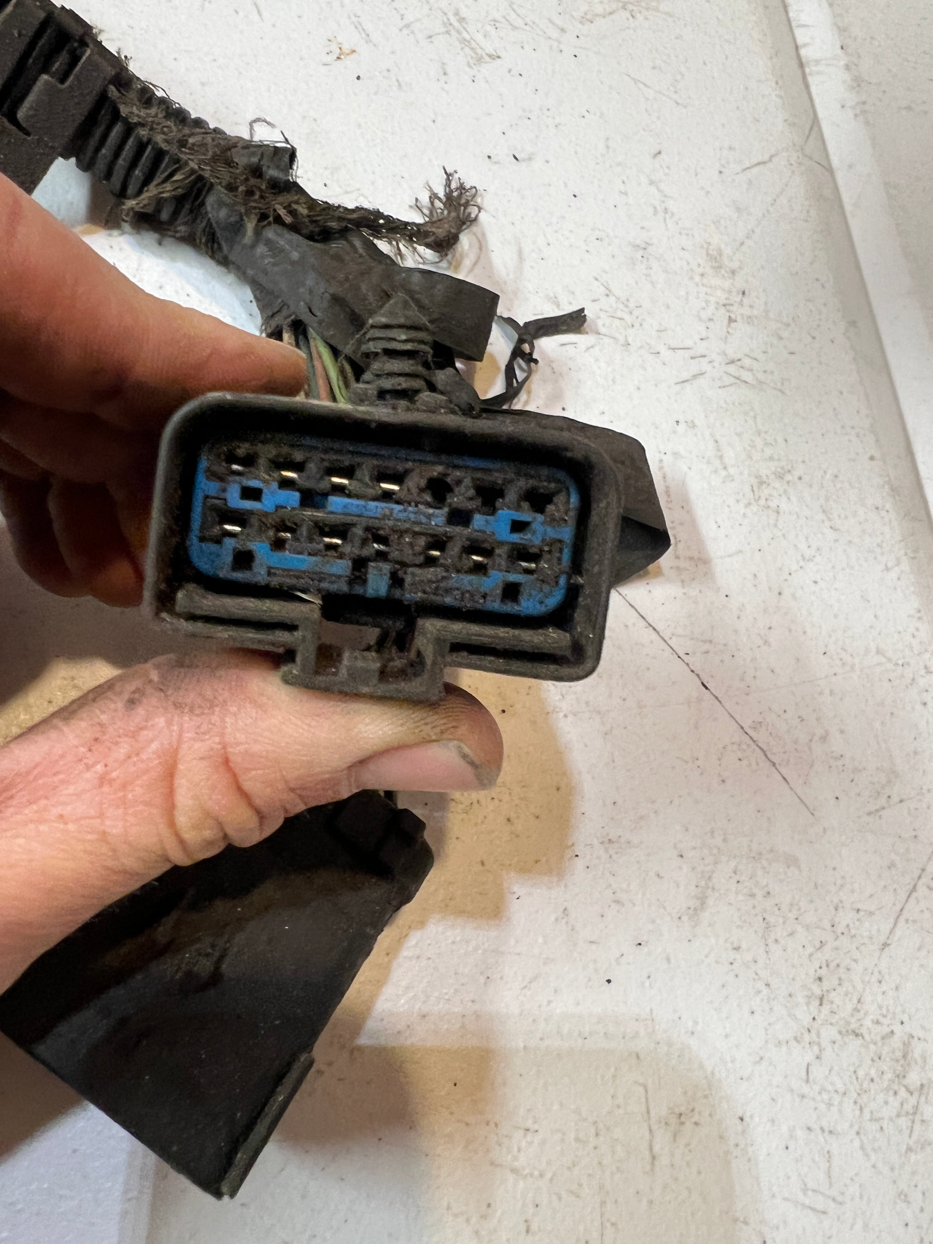 2003-2003 Dodge Ram 5.9L Cummins Rear ECM Engine Wiring Harness