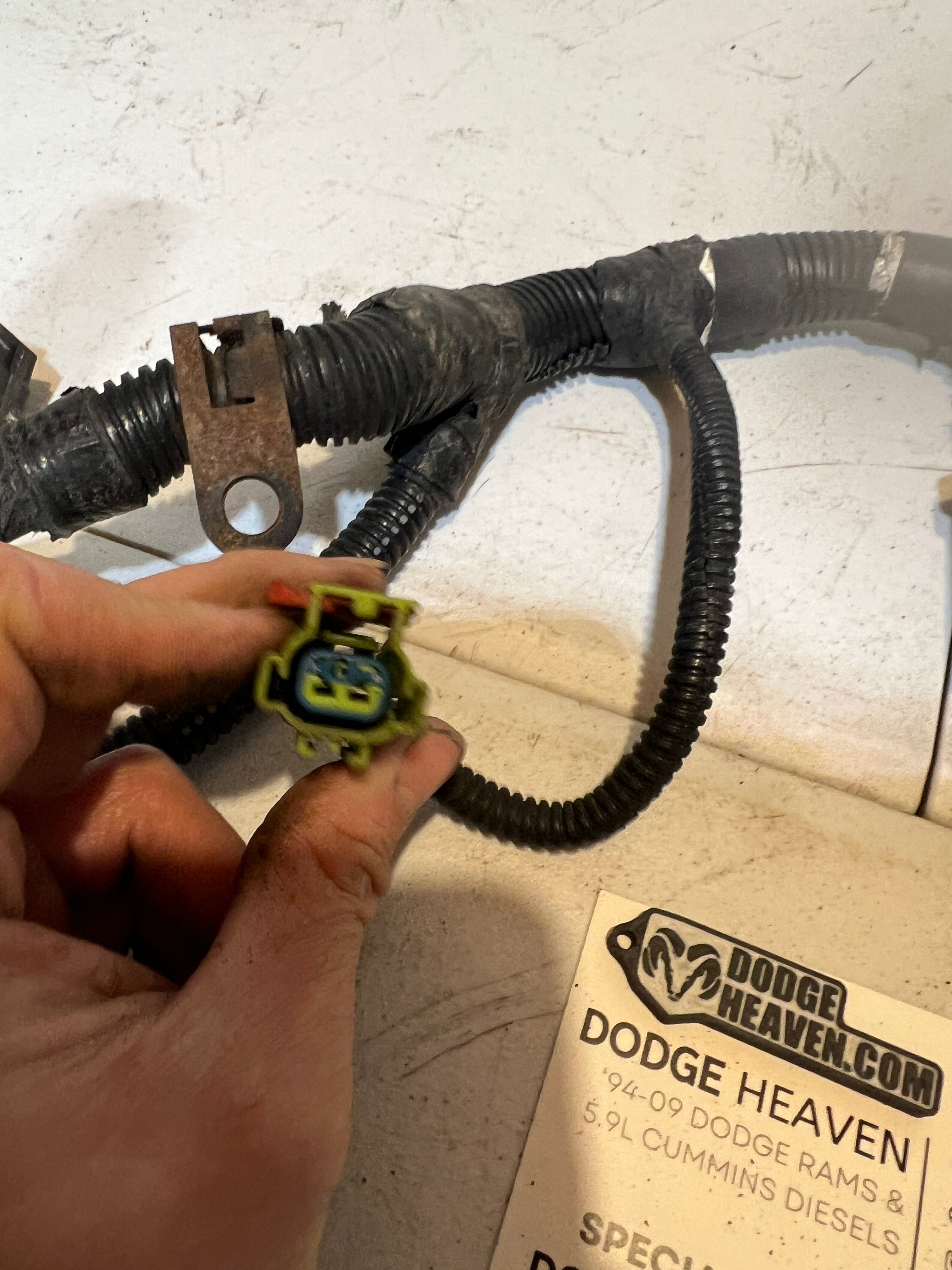 2003-2003 Dodge Ram 5.9L Cummins Rear ECM Engine Wiring Harness