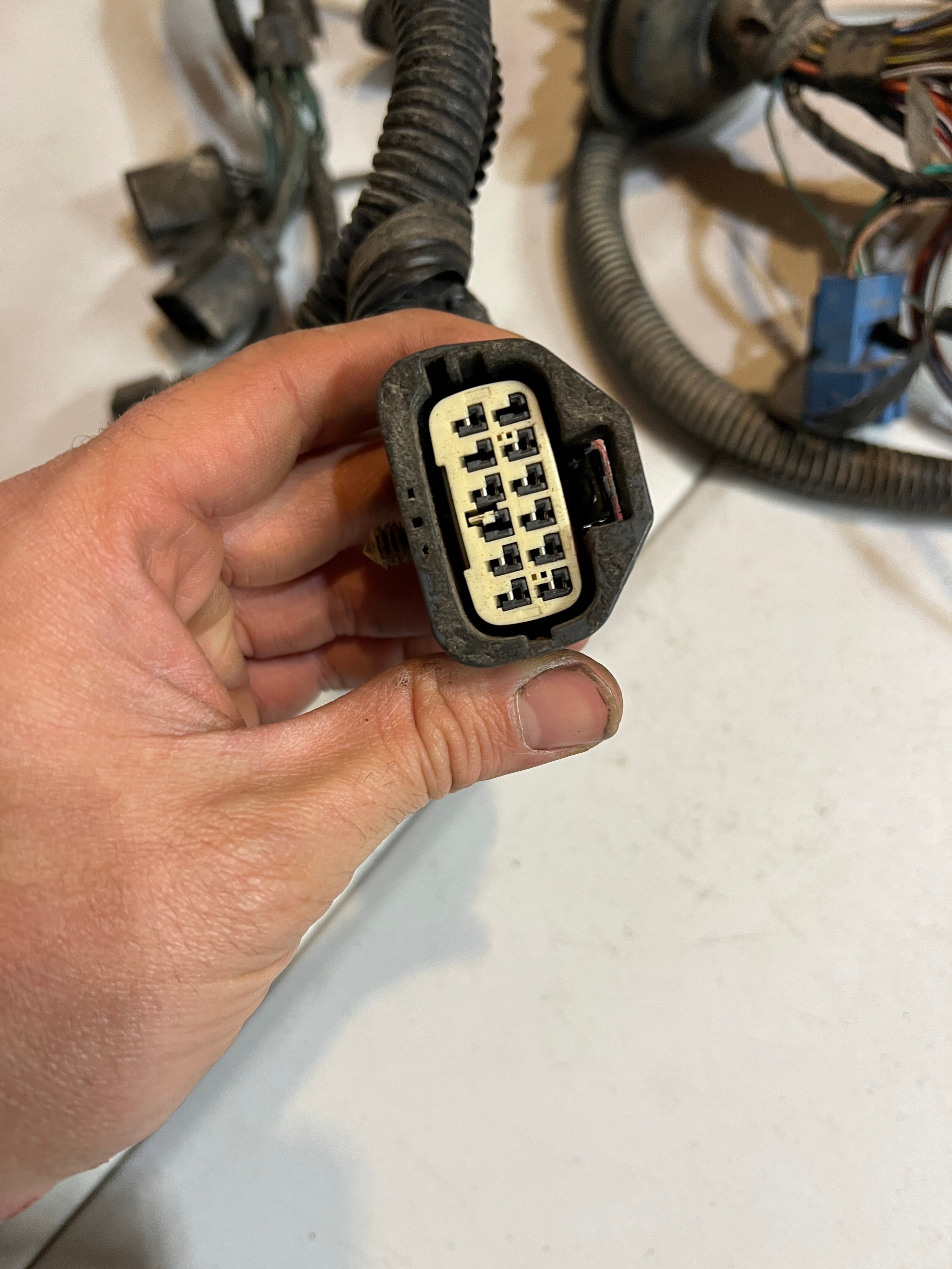 2005-2005 Dodge Ram 5.9L Cummins Engine Bay Wiring Harness