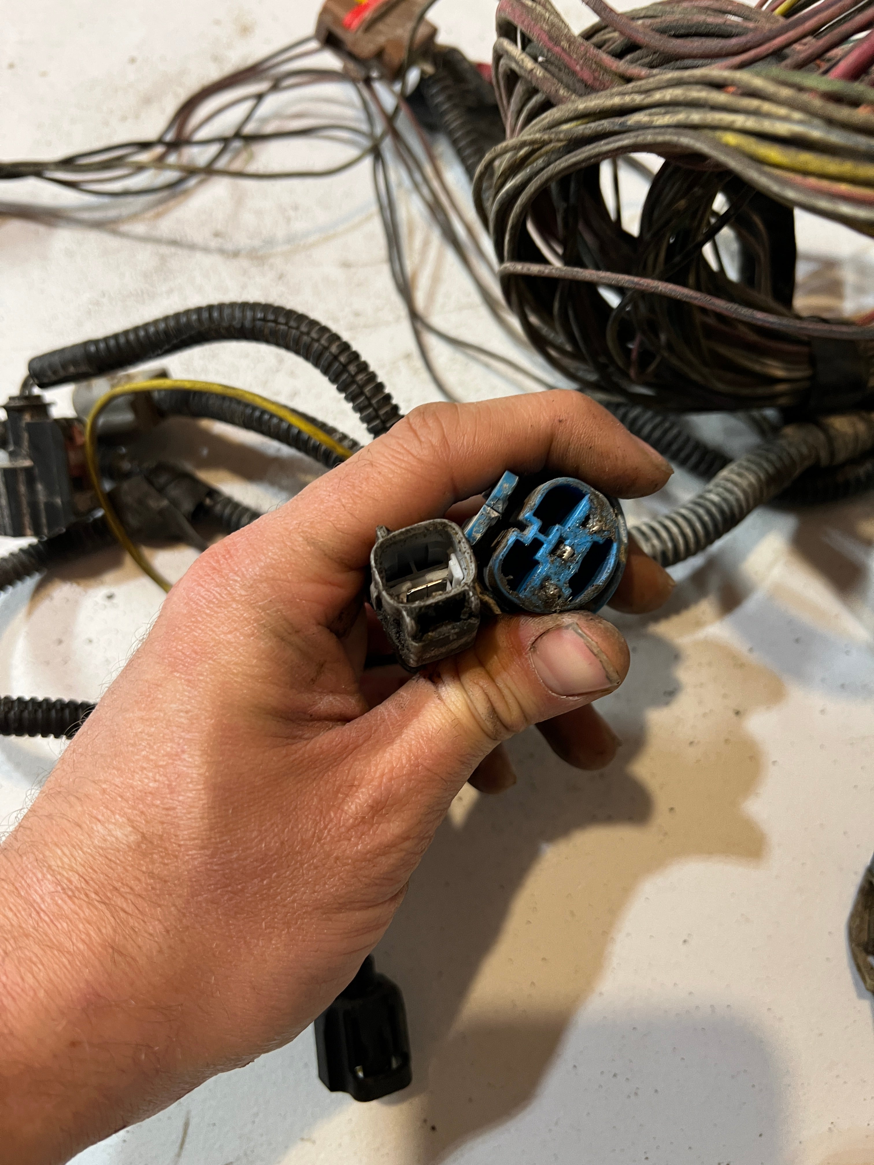 2005-2005 Dodge Ram 5.9L Cummins Engine Bay Wiring Harness