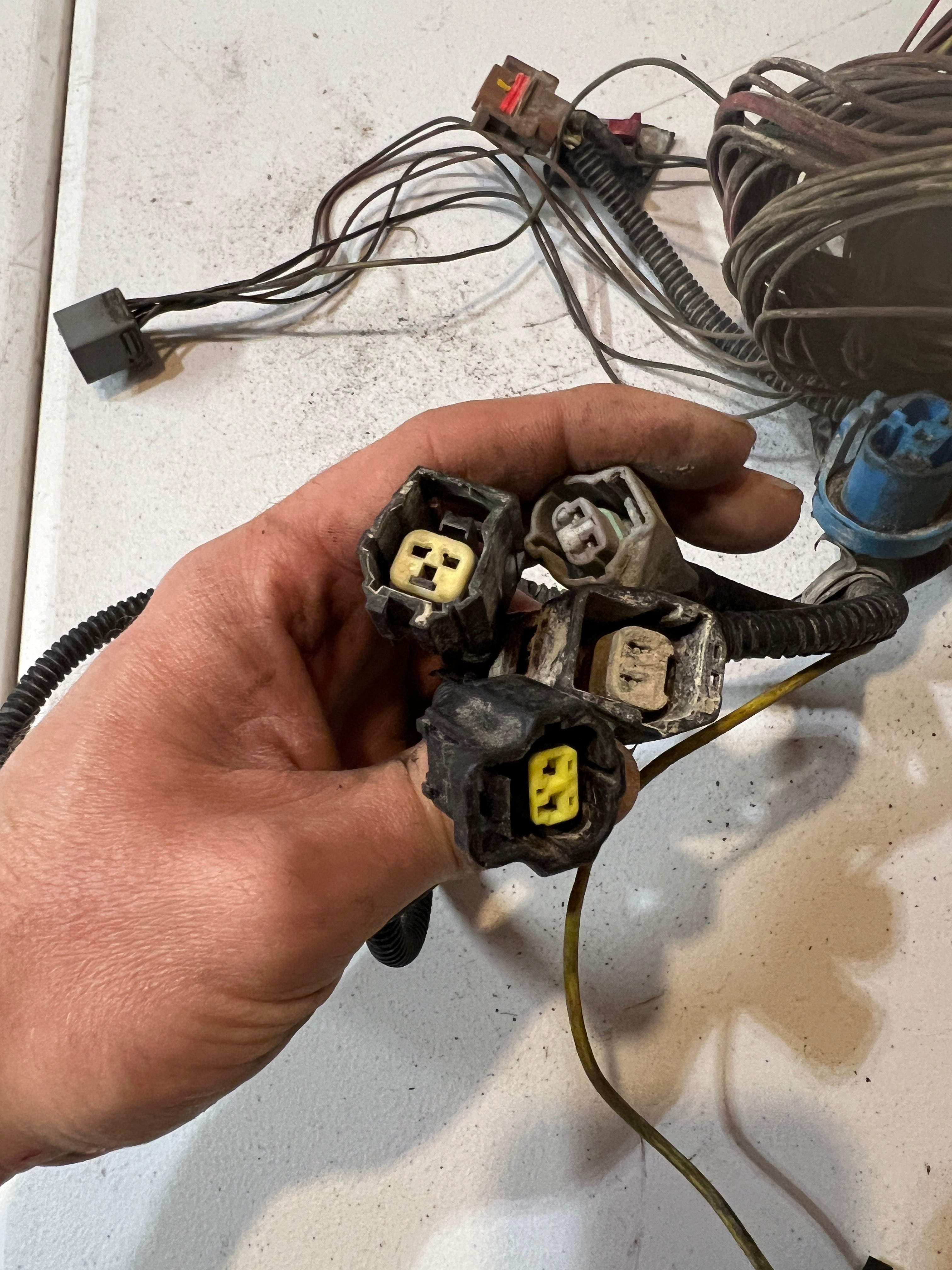 2005-2005 Dodge Ram 5.9L Cummins Engine Bay Wiring Harness
