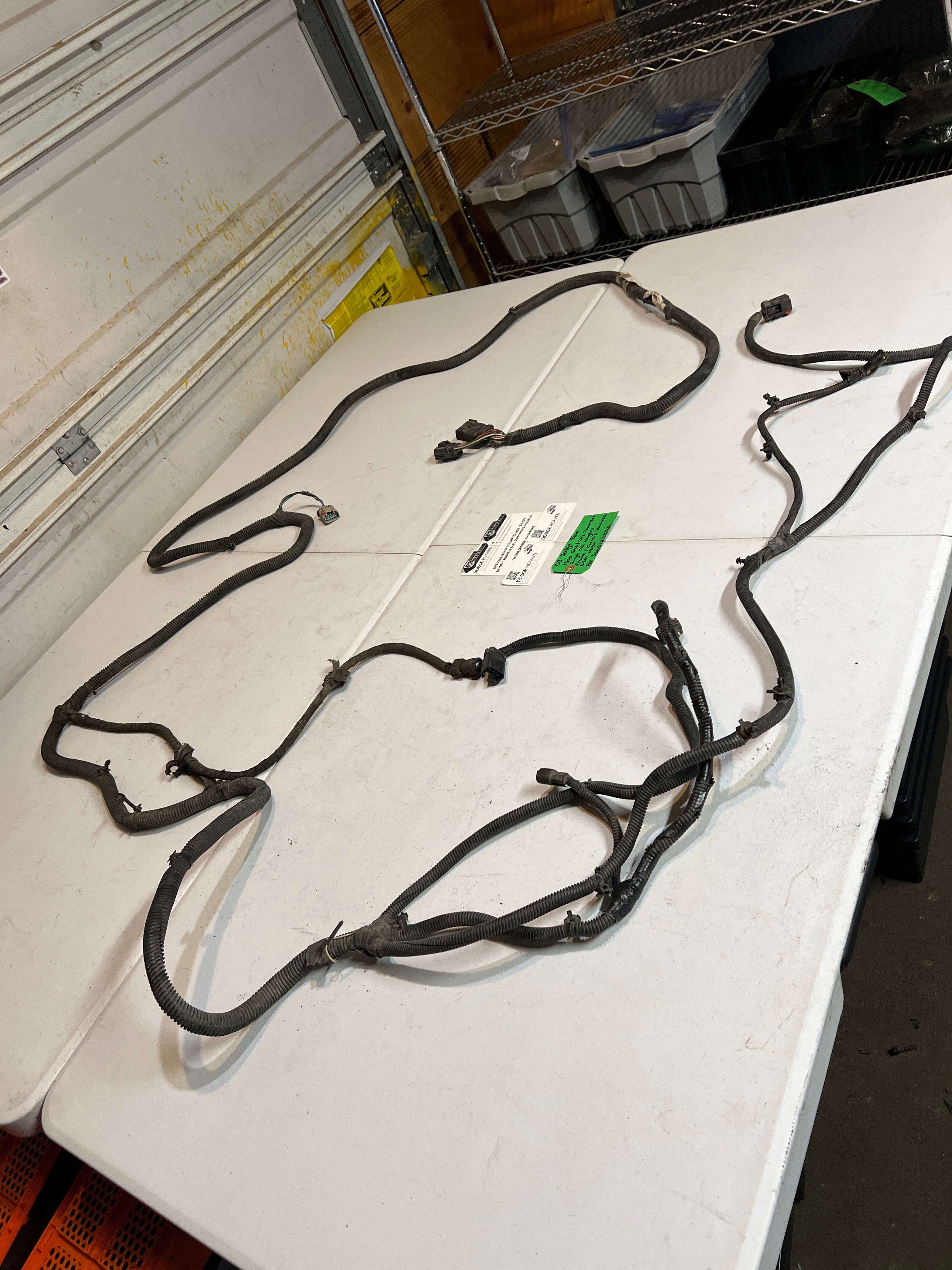 2003-2003 Dodge Ram 1500 Frame / Chassis Wiring Harness