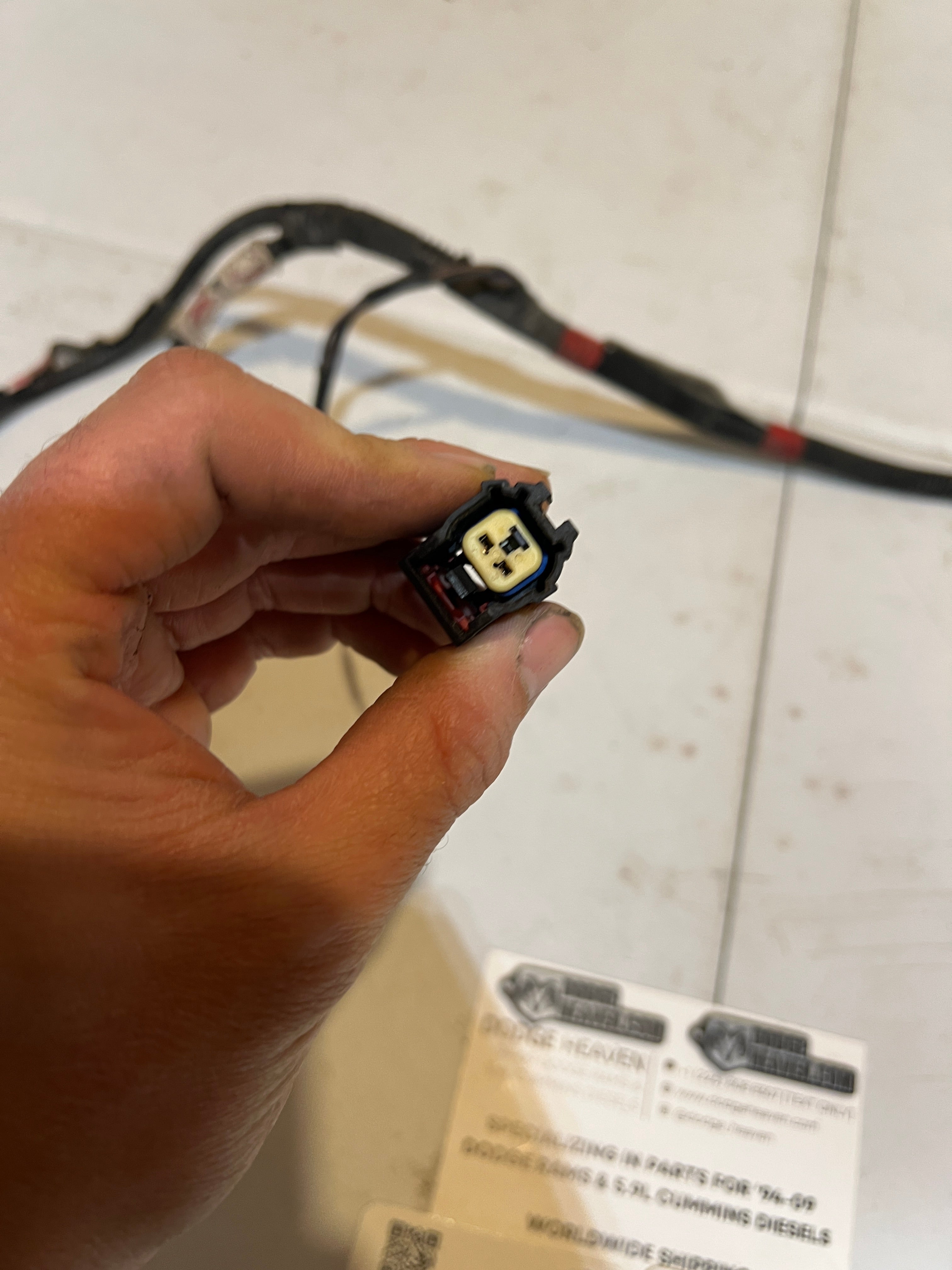 2003-2003 Dodge Ram Passenger Head Lamp / Light Wiring Harness