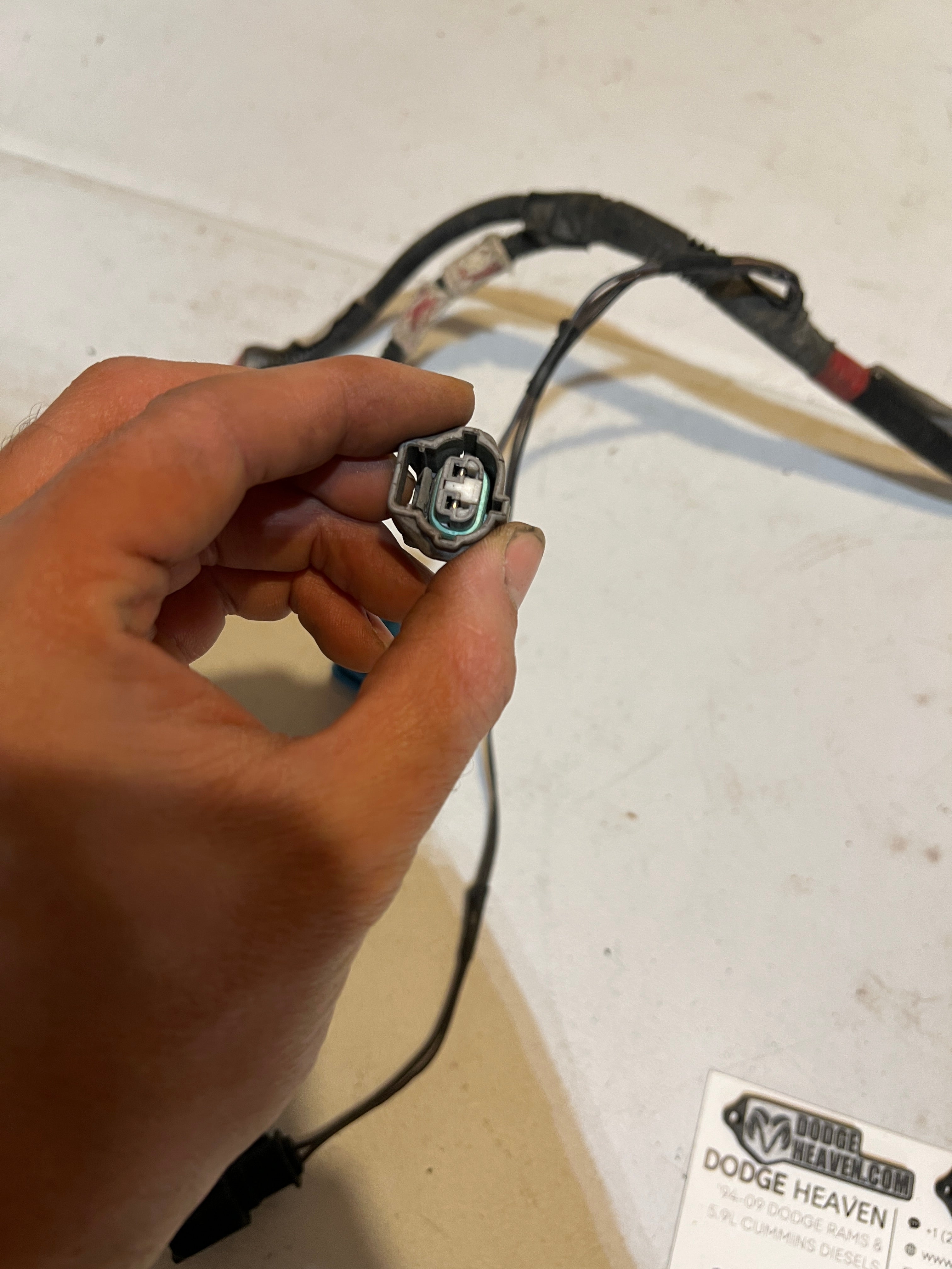 2003-2003 Dodge Ram Passenger Head Lamp / Light Wiring Harness