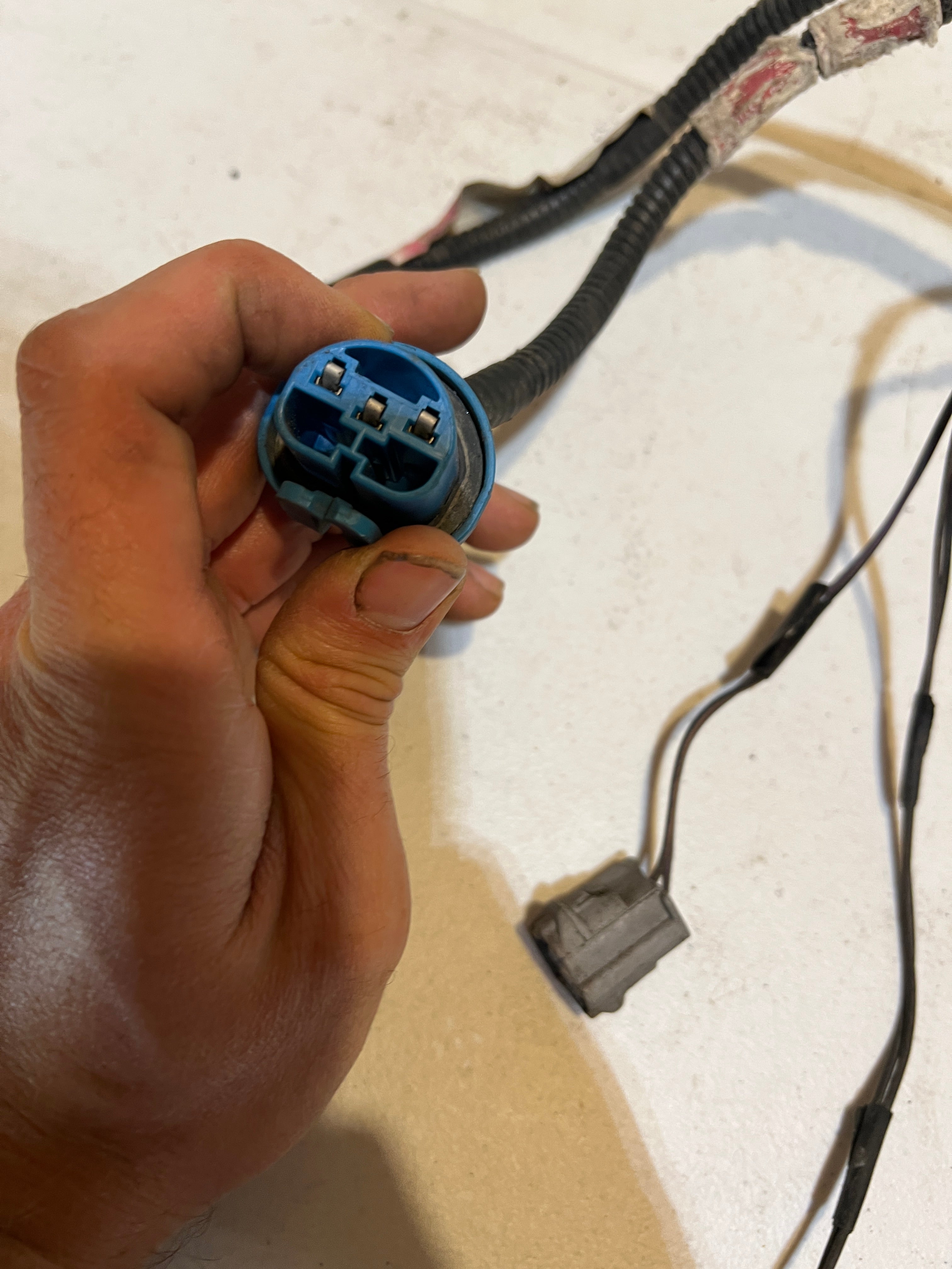 2003-2003 Dodge Ram Passenger Head Lamp / Light Wiring Harness