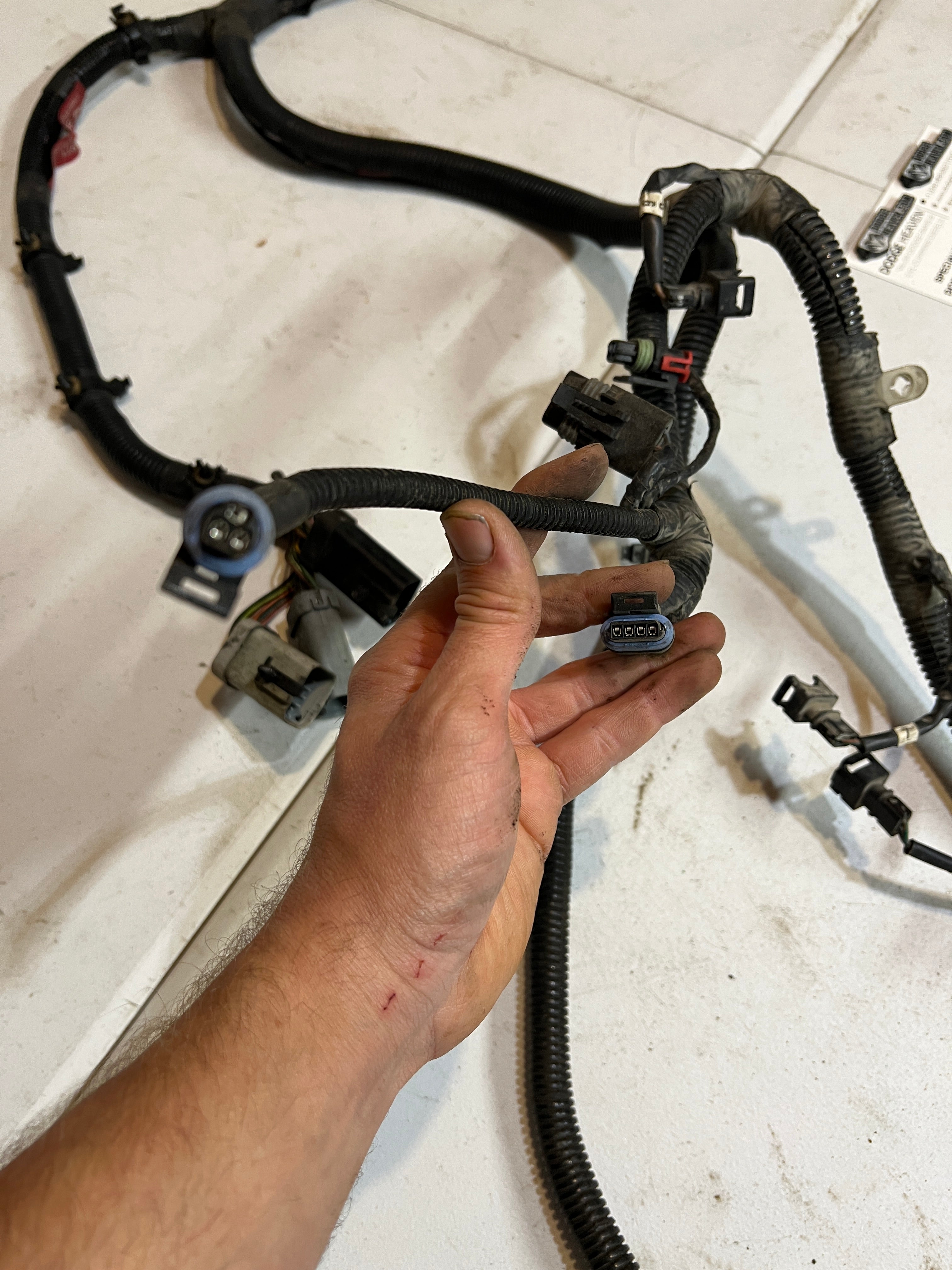 1994-1995 Dodge Ram 8.0L V10 Engine / Auto Trans Wiring Harness