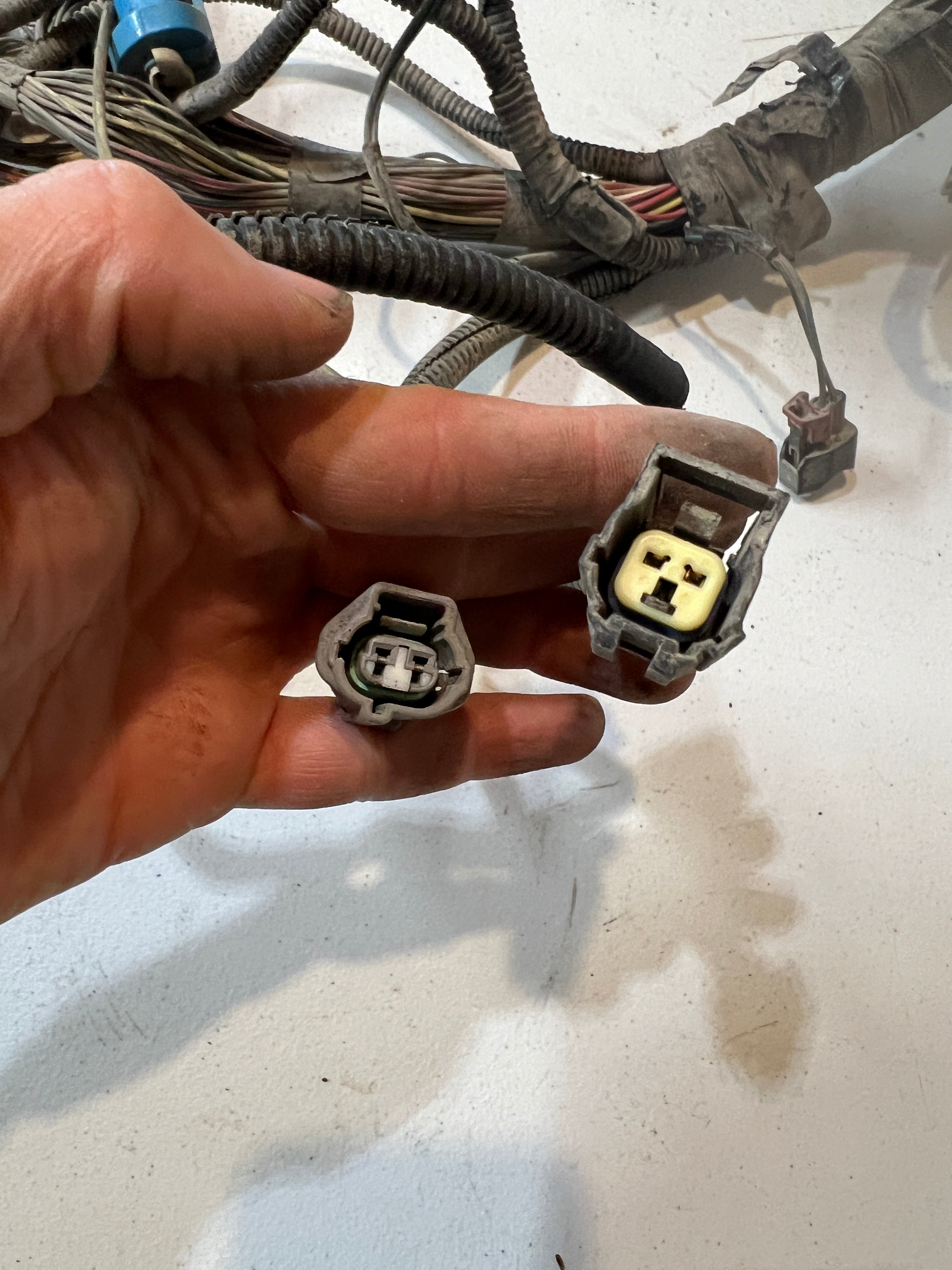 2004.5-2004.5 Dodge Ram 2500 3500 5.9L Cummins Engine Bay Wiring Harness