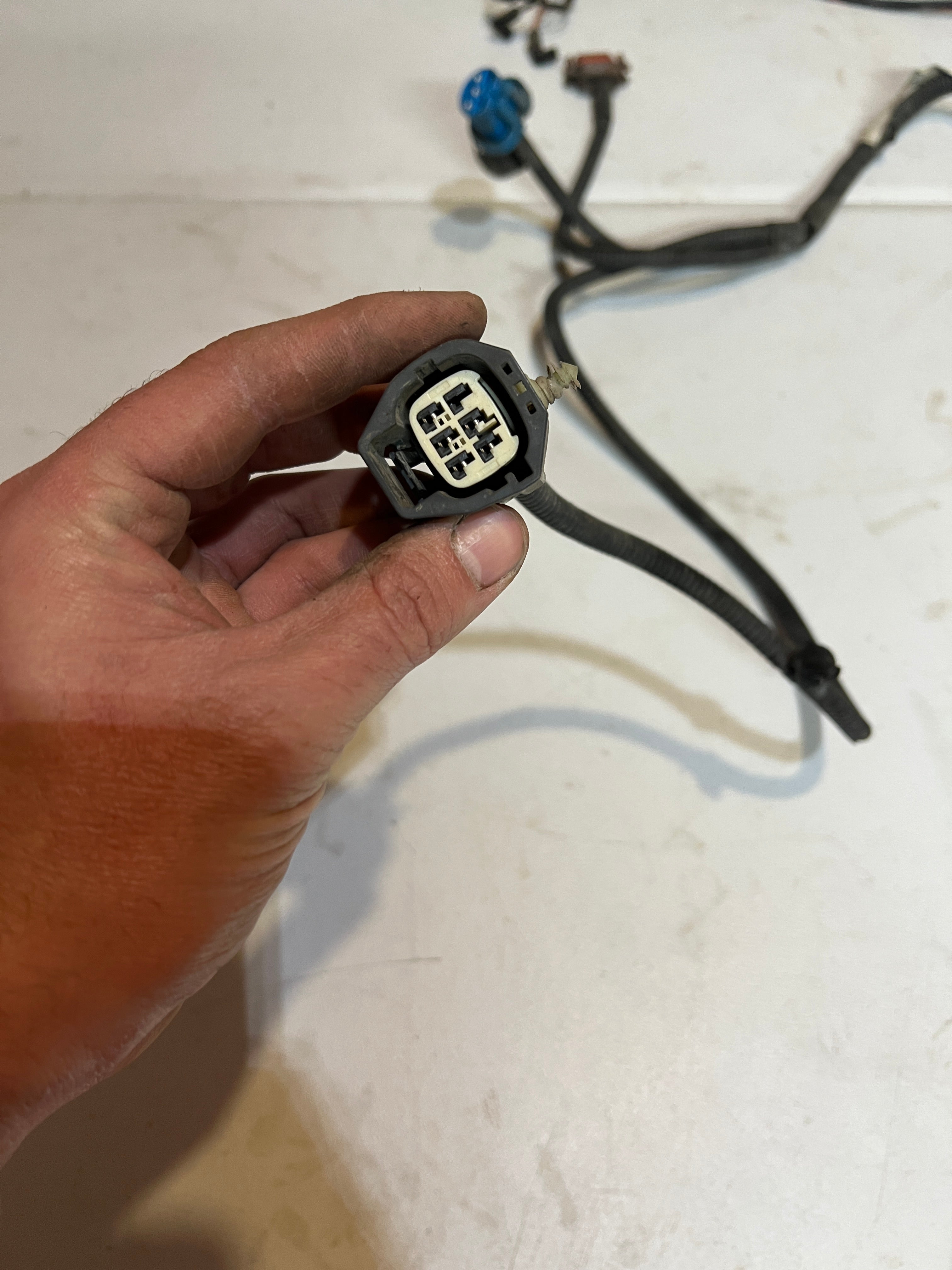 2003-2003 Dodge Ram 5.9L Cummins Passenger Headlamp Jumper Wiring